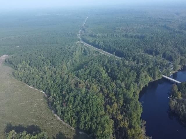 Tbd Browns Ferry Rd.  Photo 4