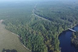 Tbd Browns Ferry Rd.  photo 4