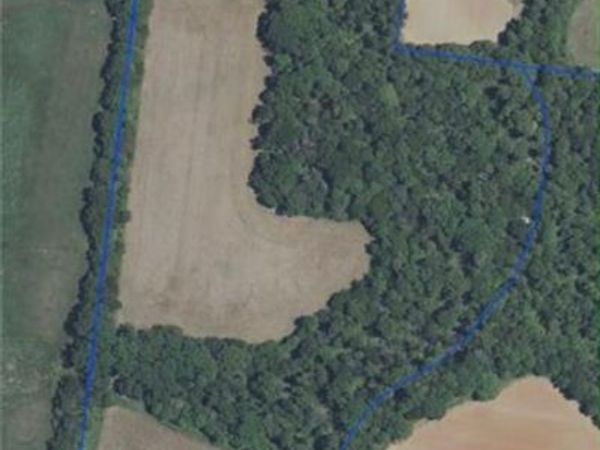 1828 Casstevens Road, Yadkinville, NC 27055