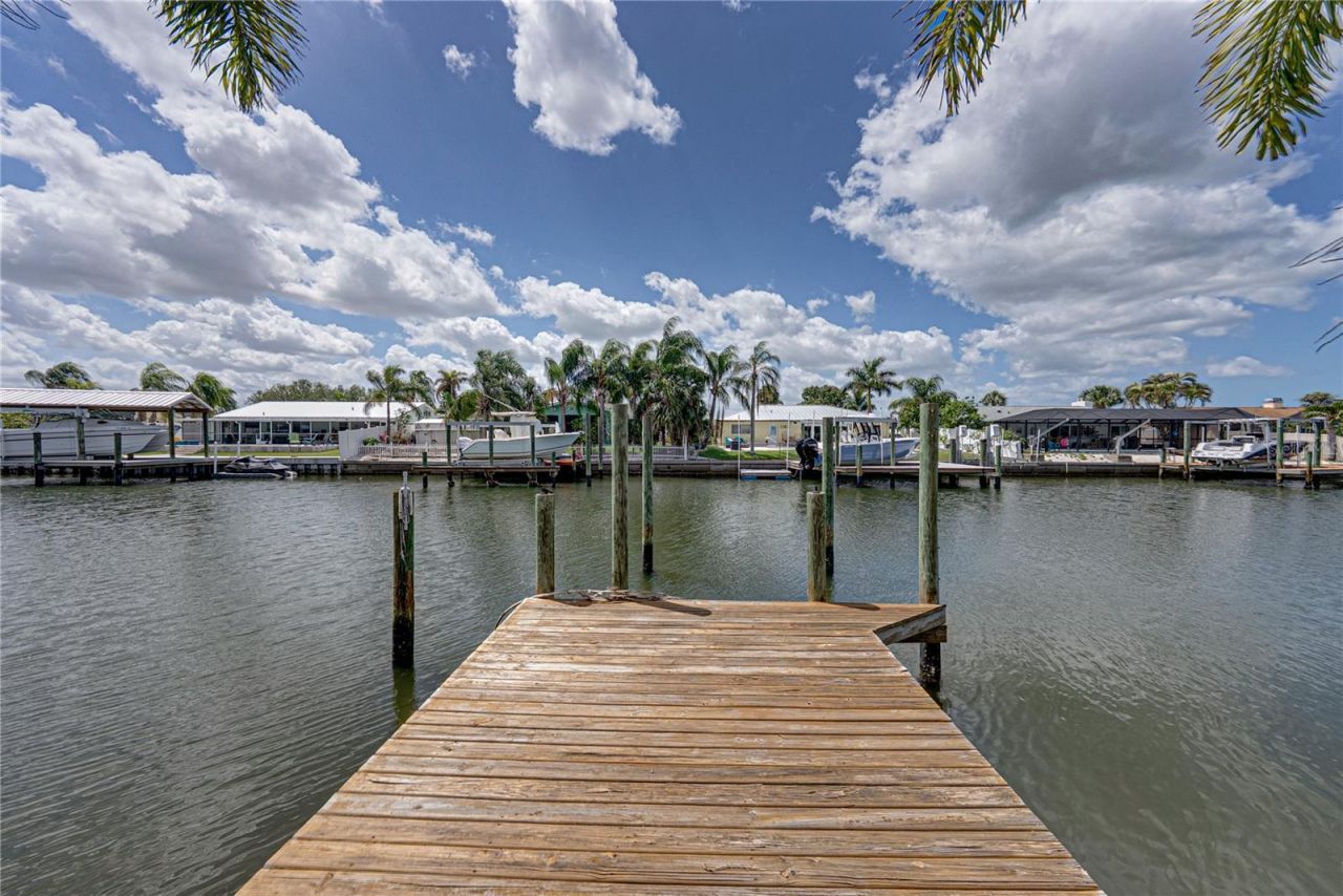 906 Sago Palm Way, Apollo Beach, FL 33572 Photo