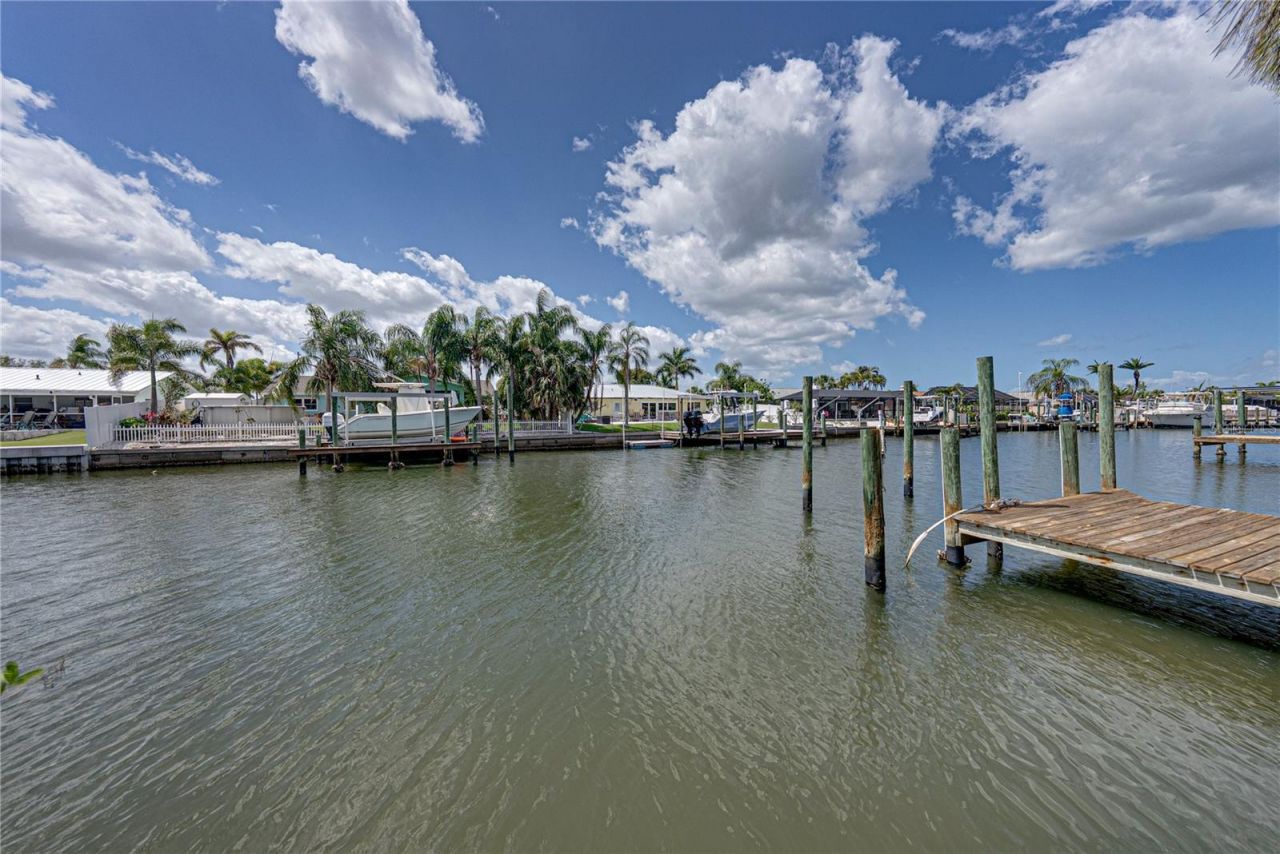 906 Sago Palm Way, Apollo Beach, FL 33572 Photo