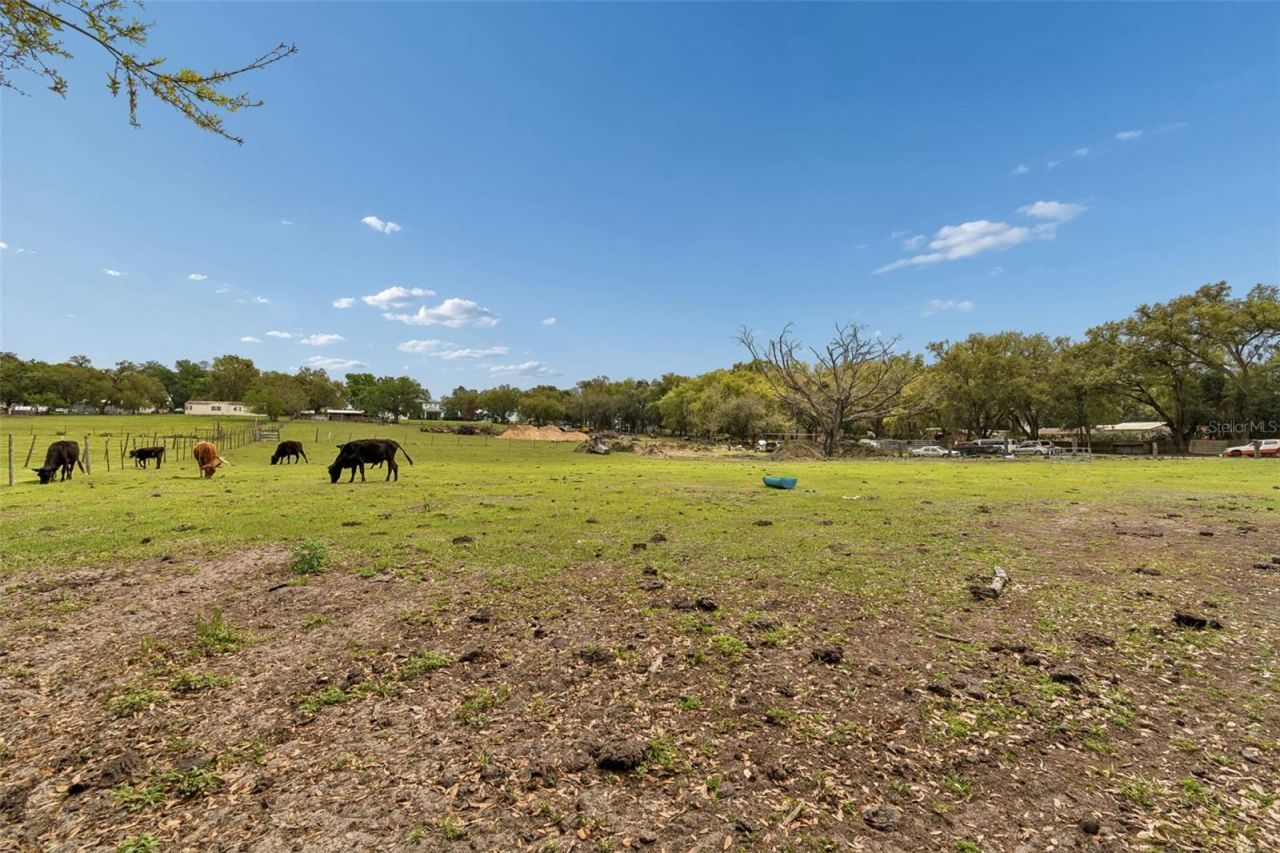 8302 Wire Road, Zephyrhills, FL 33540 Photo