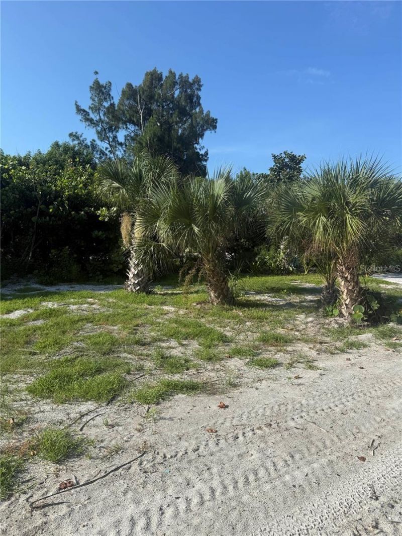 8480 Little Gasparilla Island, Placida, FL 33946 Photo