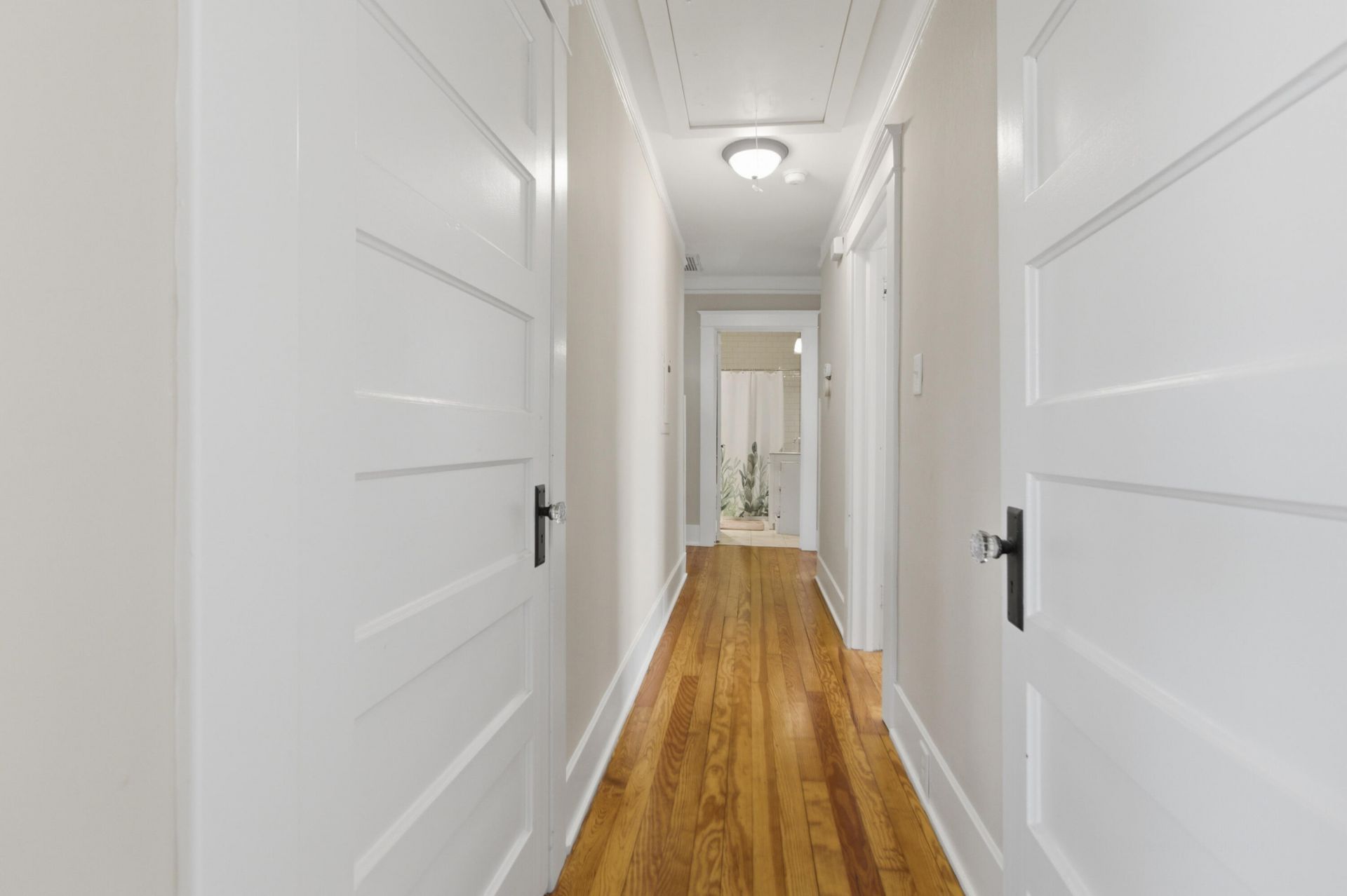 3 Rutledge Boulevard Photo 28