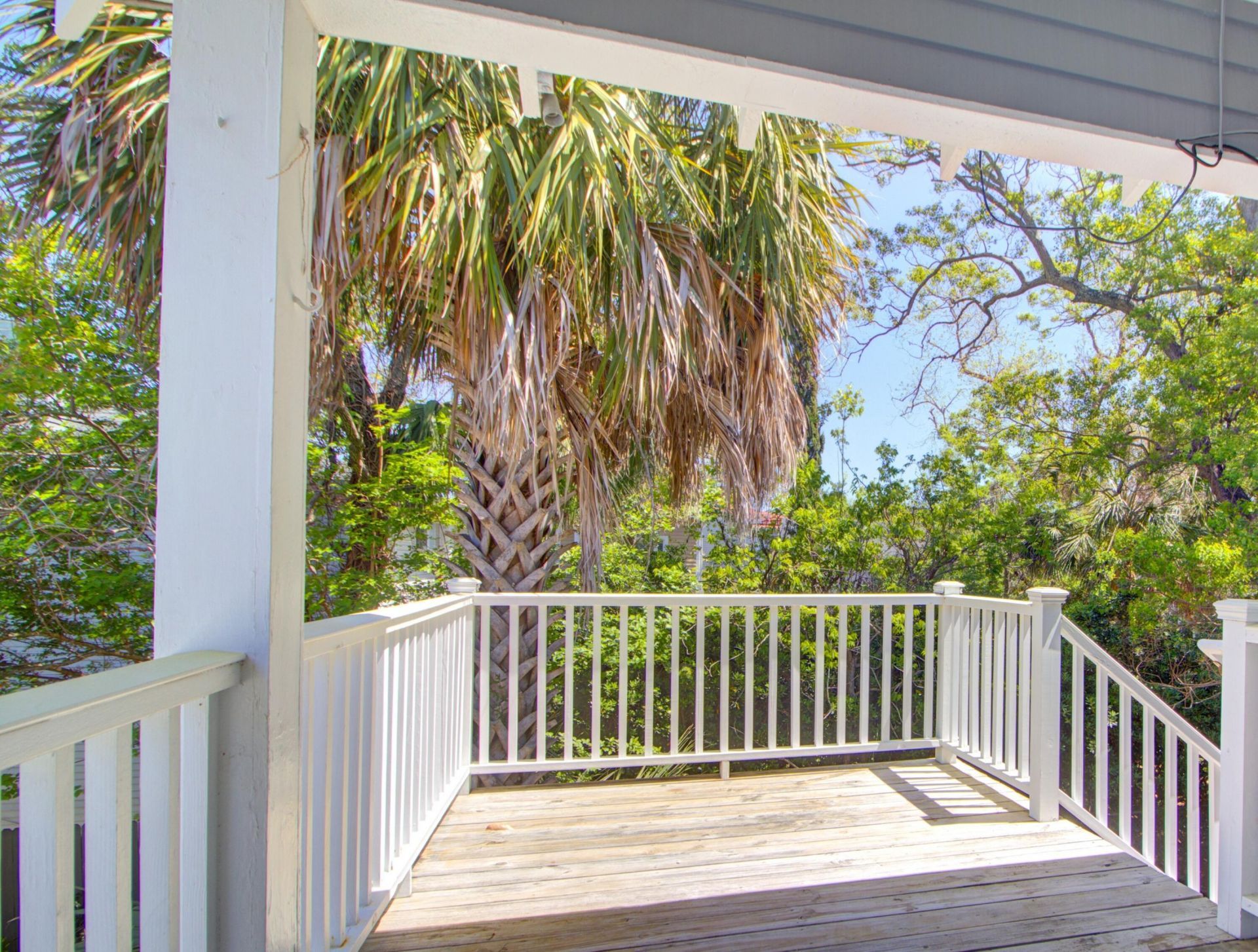 3 Rutledge Boulevard Photo 9