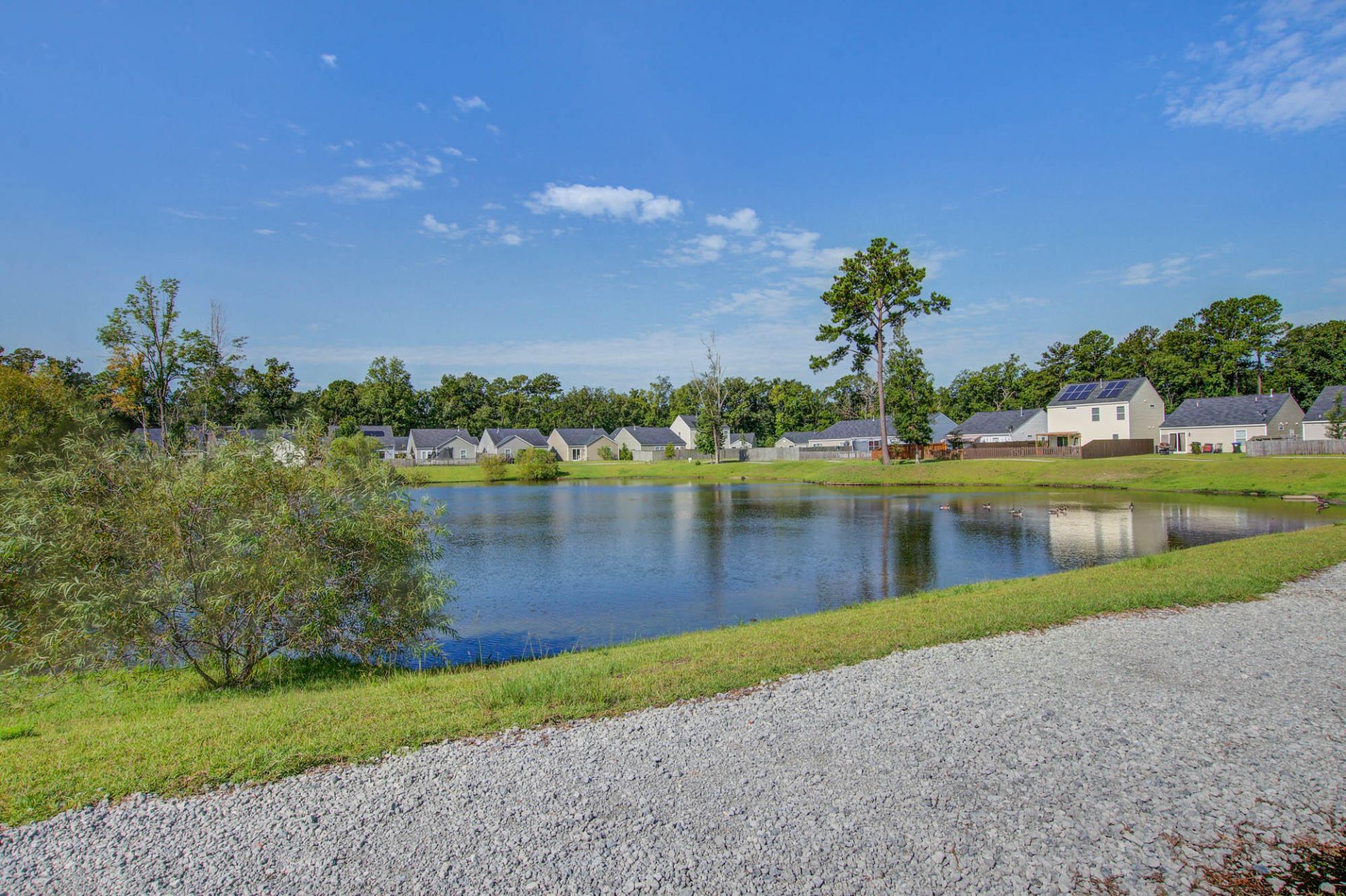 183 Brittondale Road Photo 19