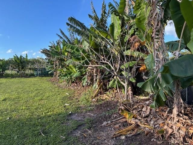 Unincorporated, Miami, FL 33187 Photo