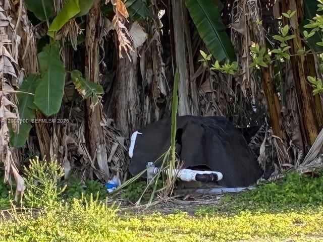 Unincorporated, Miami, FL 33187 Photo