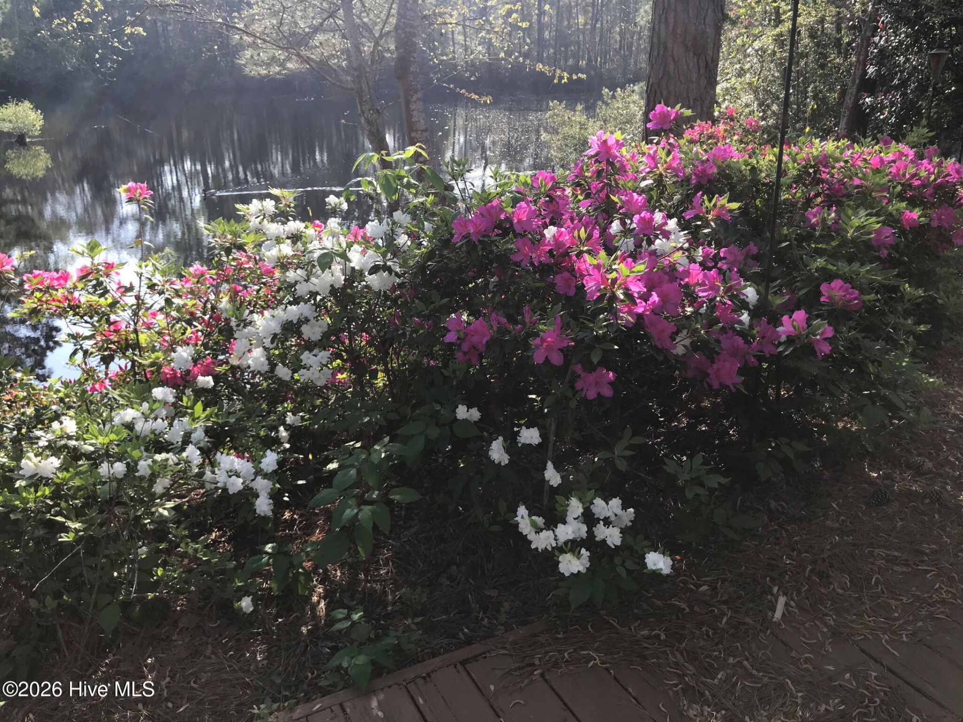 2490 Glen Drive Photo 18