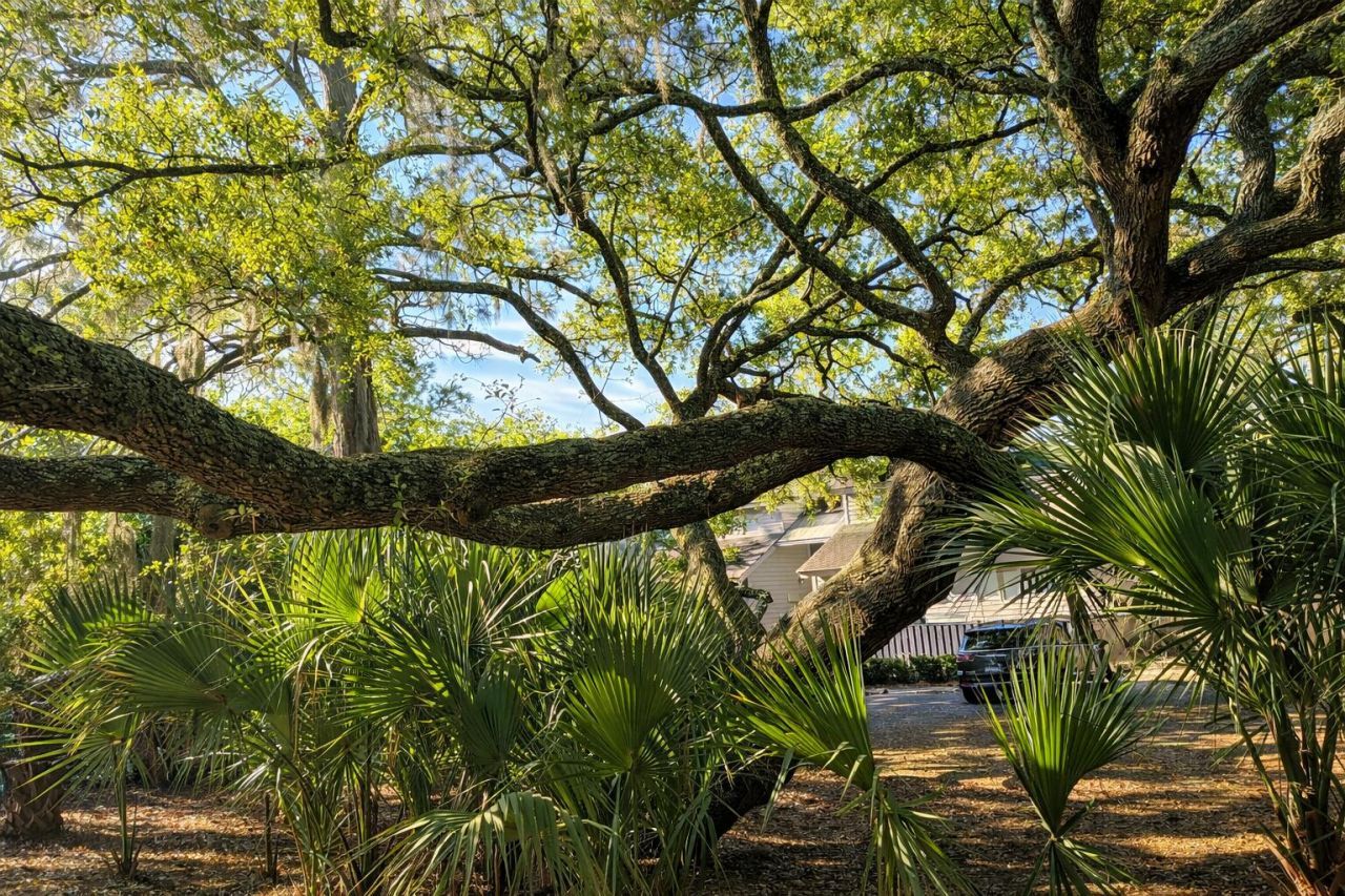 1214 Creek Watch Photo 62