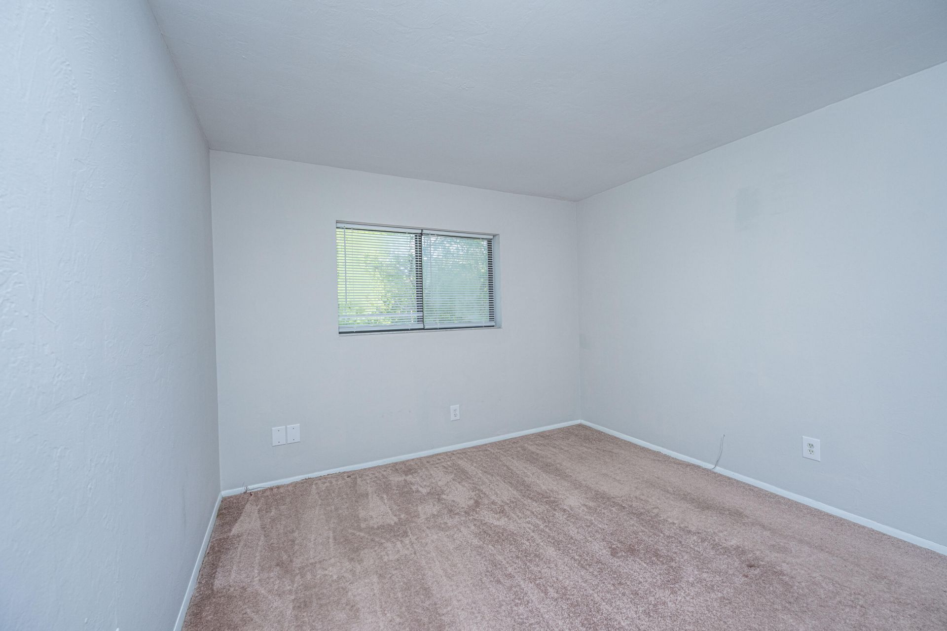 2935 Dove Haven Ct Court Photo 16