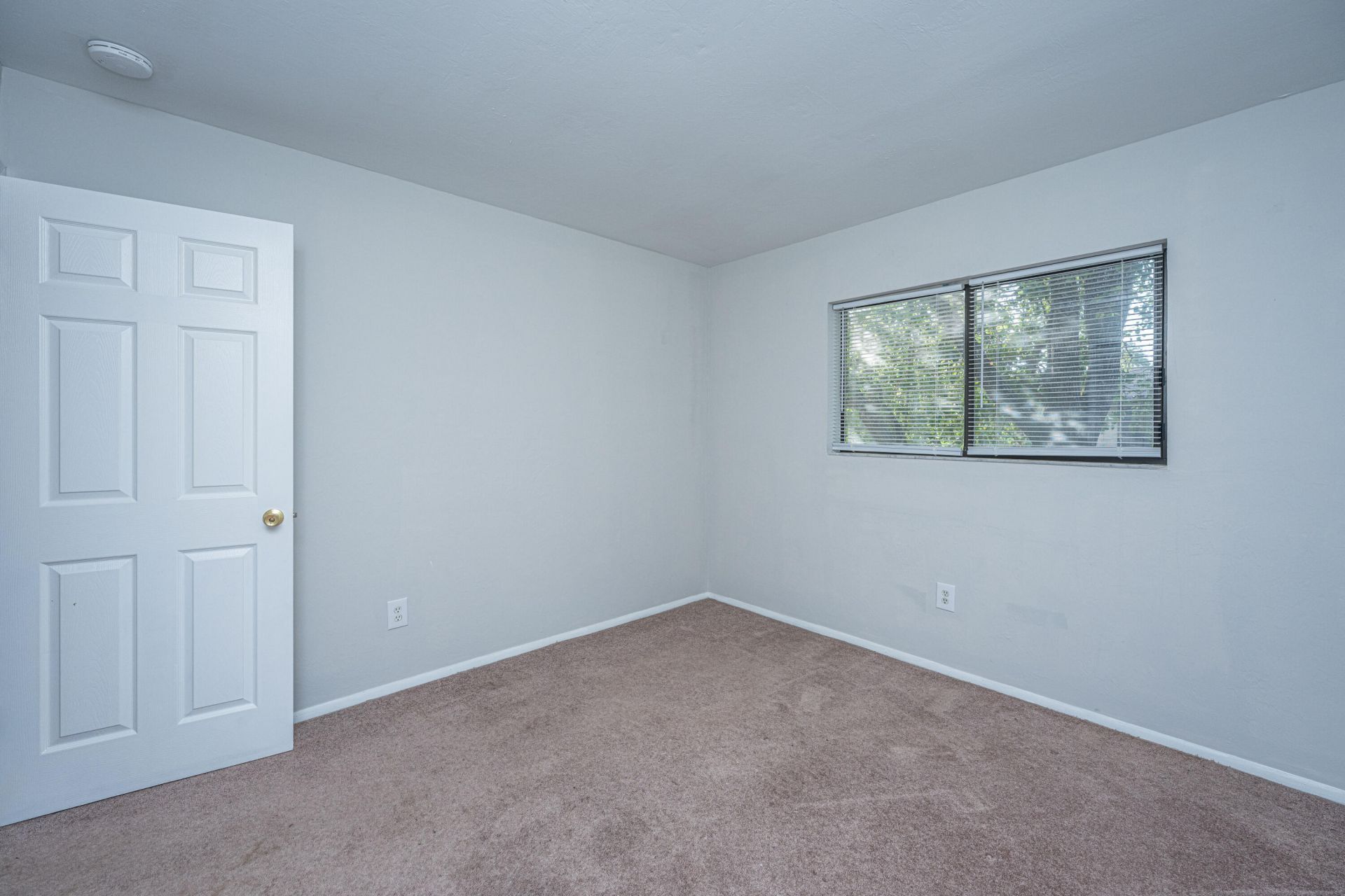 2935 Dove Haven Ct Court Photo 22
