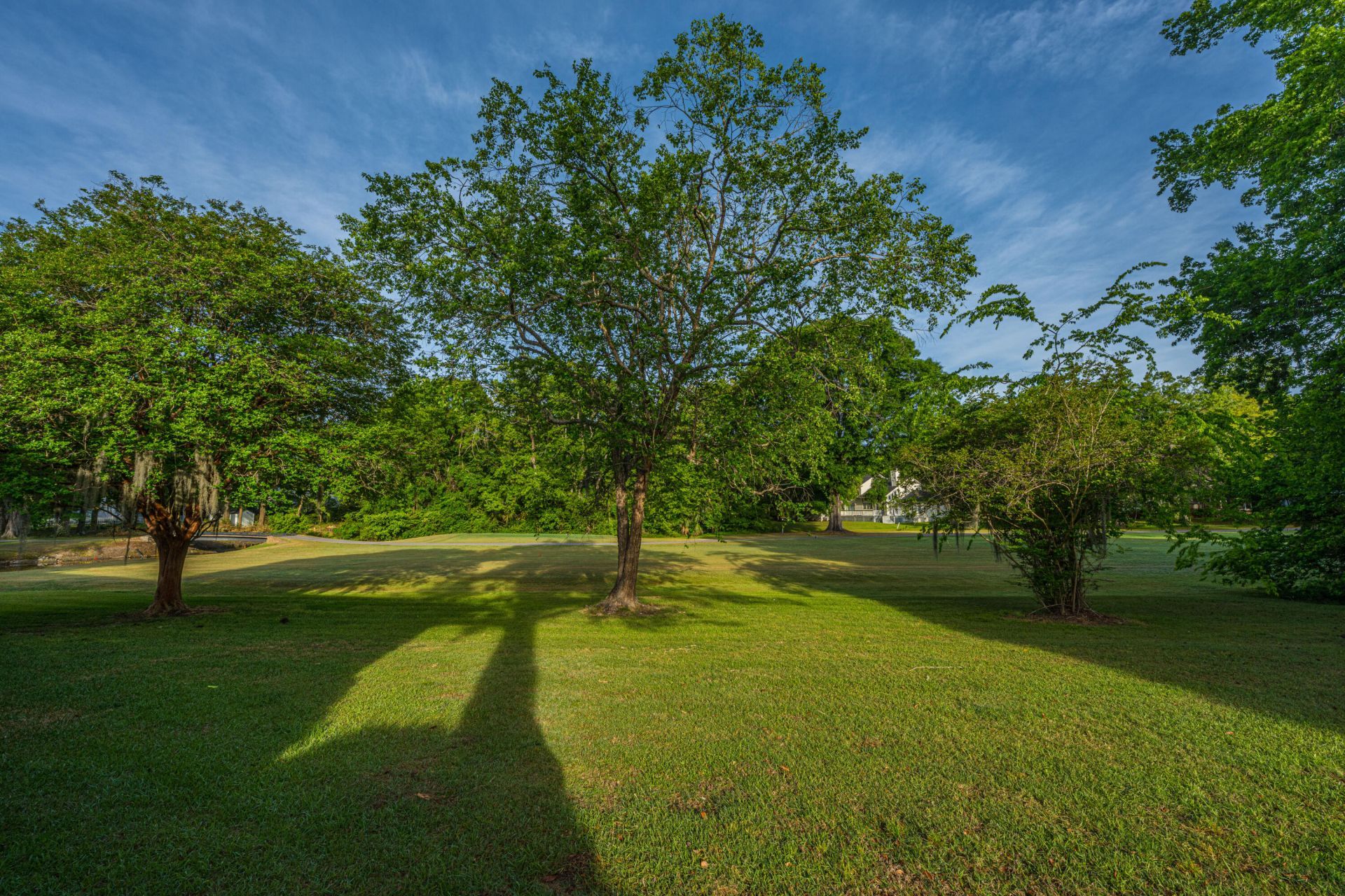 2935 Dove Haven Ct Court Photo 28