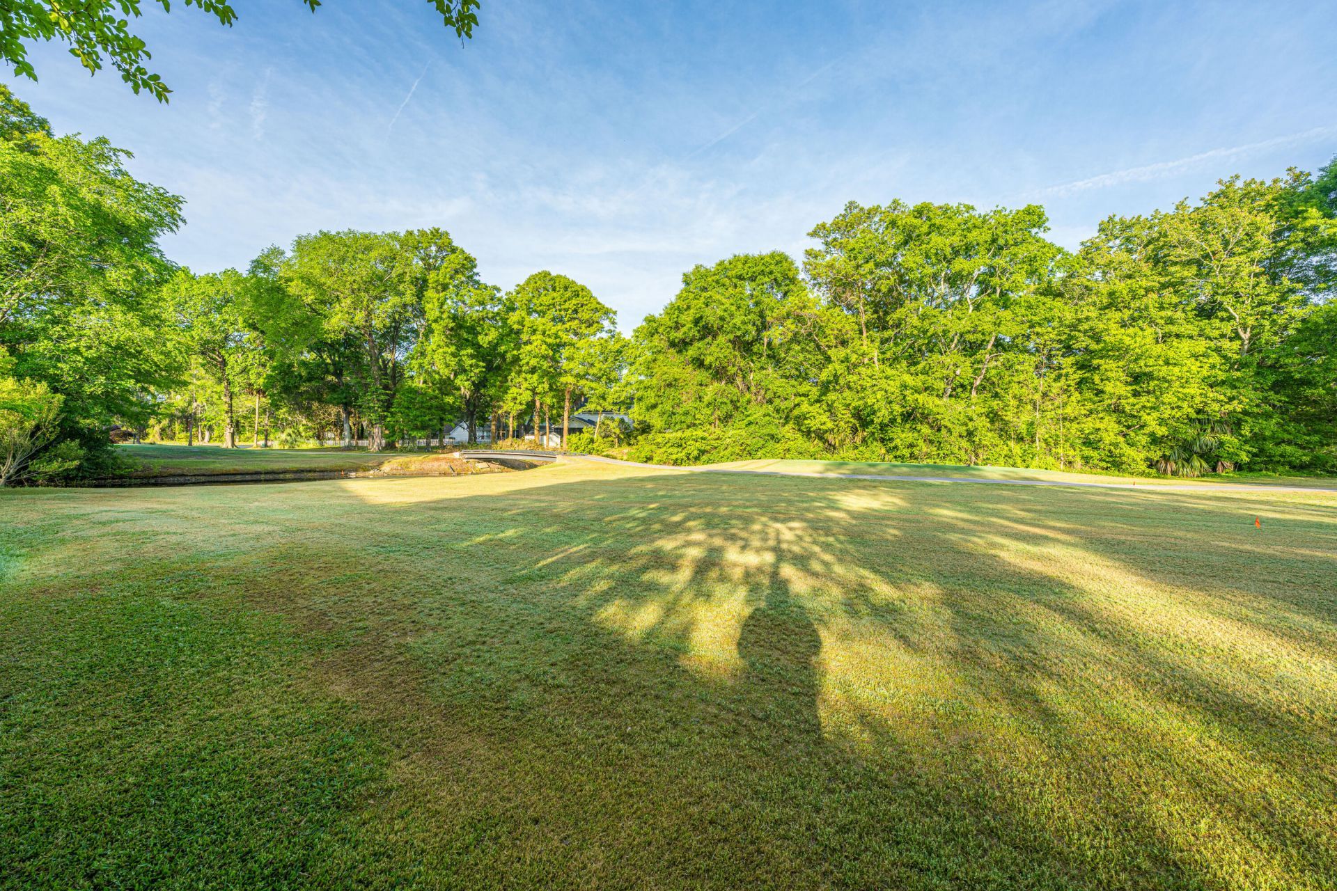 2935 Dove Haven Ct Court Photo 30