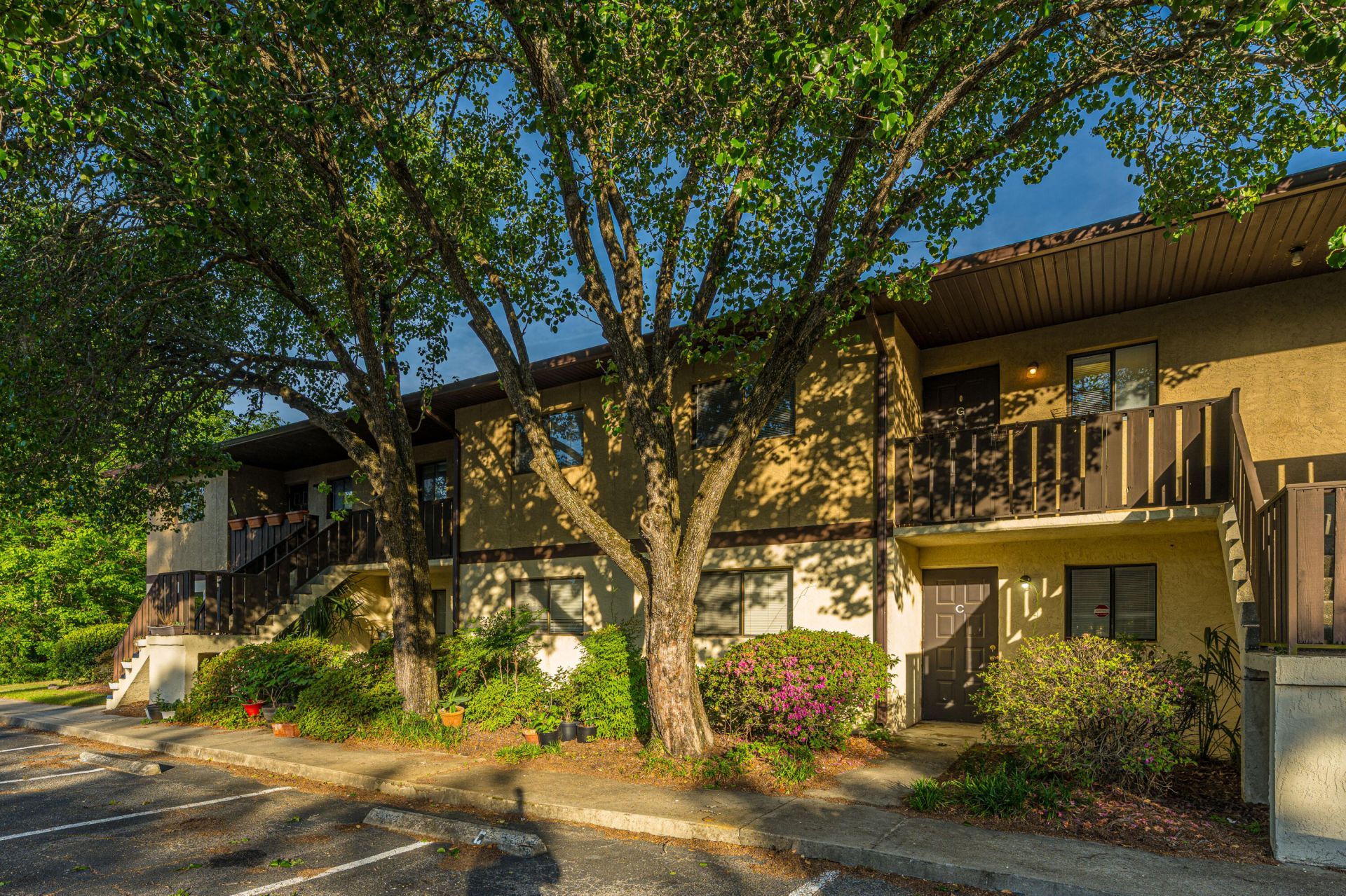 2935 Dove Haven Ct Court Photo 4