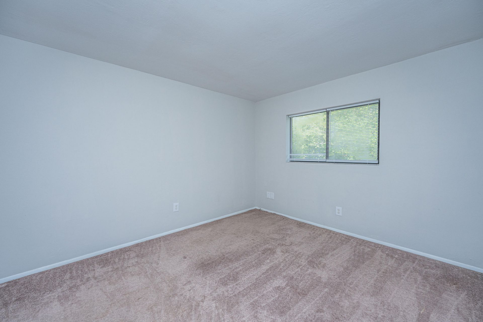 2935 Dove Haven Court Photo 11