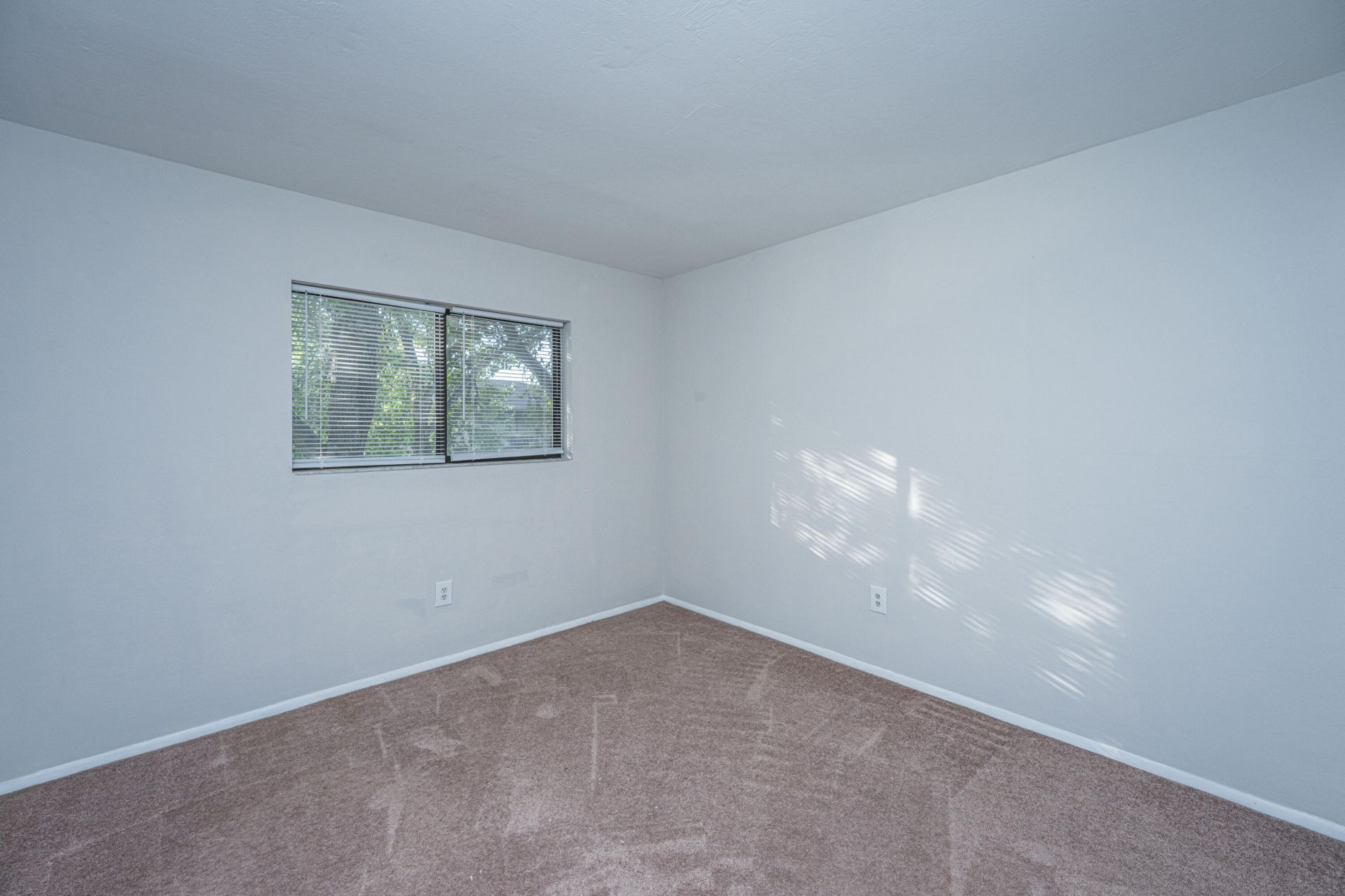 2935 Dove Haven Court Photo 17