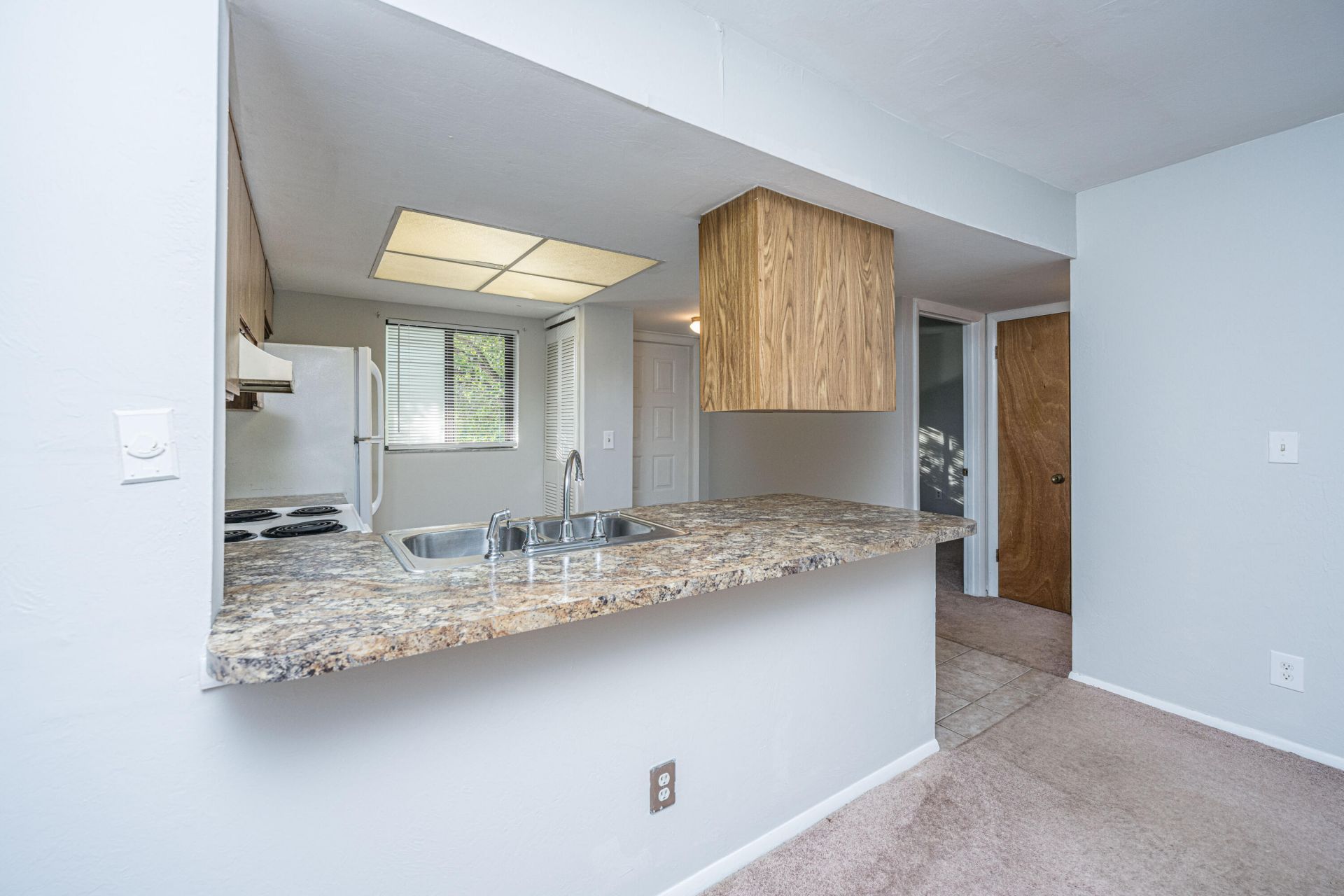 2935 Dove Haven Court Photo 5