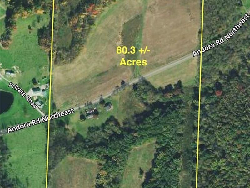 1368 Andora Road NE, Carrollton, OH 44615 Photo 2