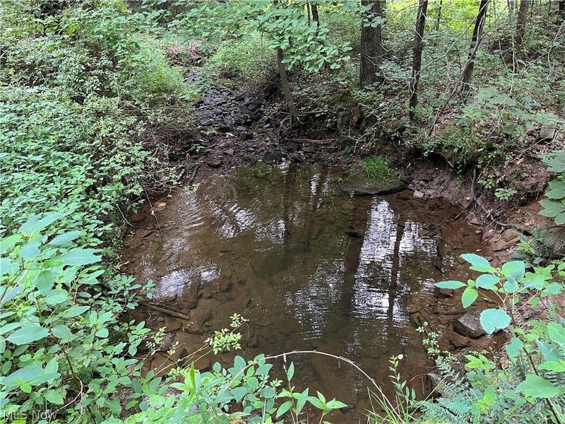 1368 Andora Road NE, Carrollton, OH 44615 Photo 35