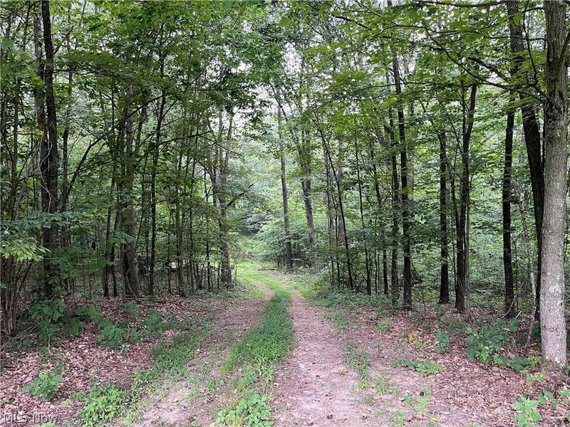 1368 Andora Road NE, Carrollton, OH 44615 Photo 36