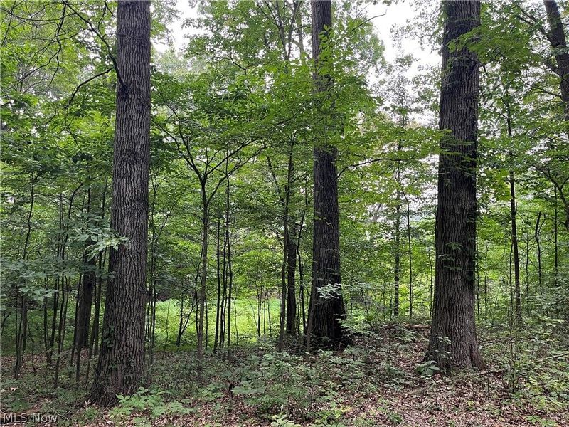 1368 Andora Road NE, Carrollton, OH 44615 Photo 37