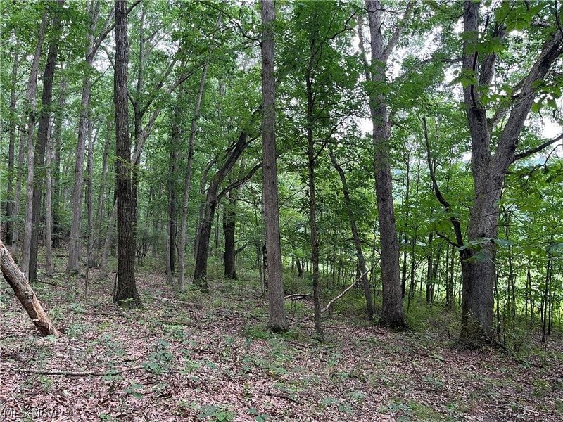 1368 Andora Road NE, Carrollton, OH 44615 Photo 39