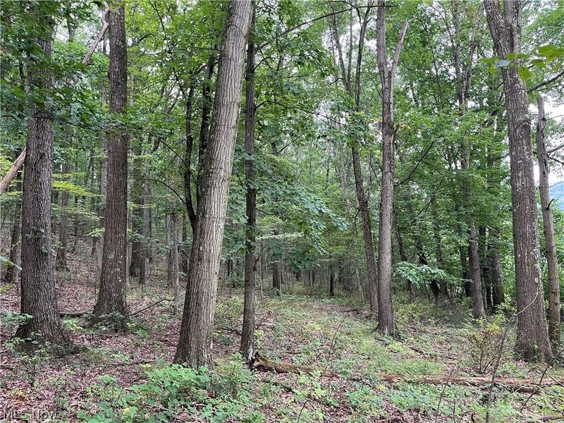 1368 Andora Road NE, Carrollton, OH 44615 Photo 40