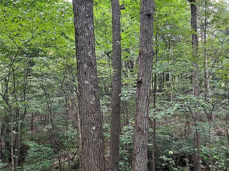 1368 Andora Road NE, Carrollton, OH 44615 Photo 43