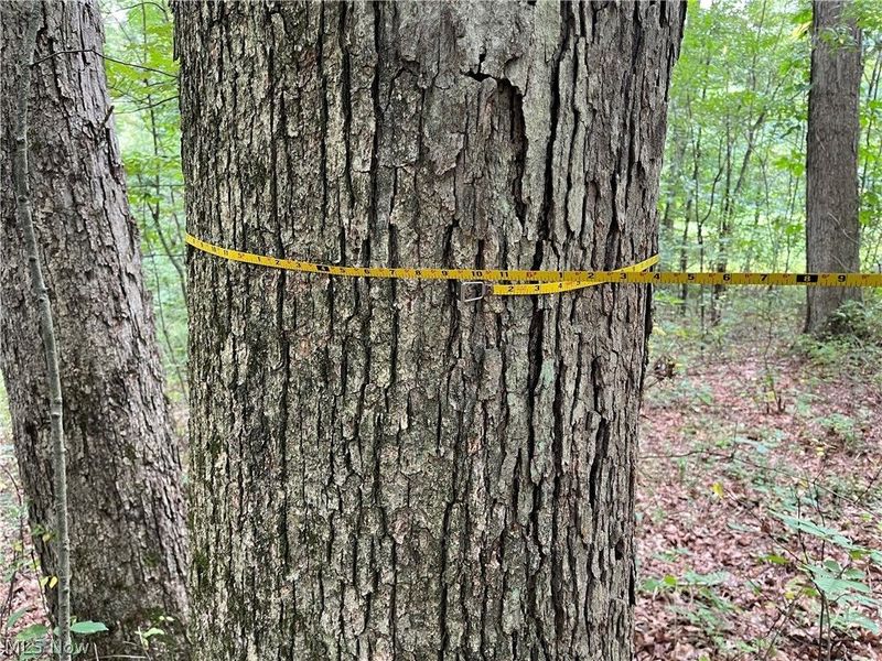 1368 Andora Road NE, Carrollton, OH 44615 Photo 44