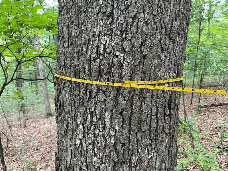 1368 Andora Road NE, Carrollton, OH 44615 Photo 45