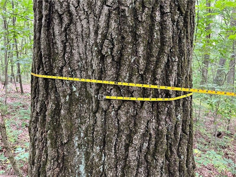 1368 Andora Road NE, Carrollton, OH 44615 Photo 9