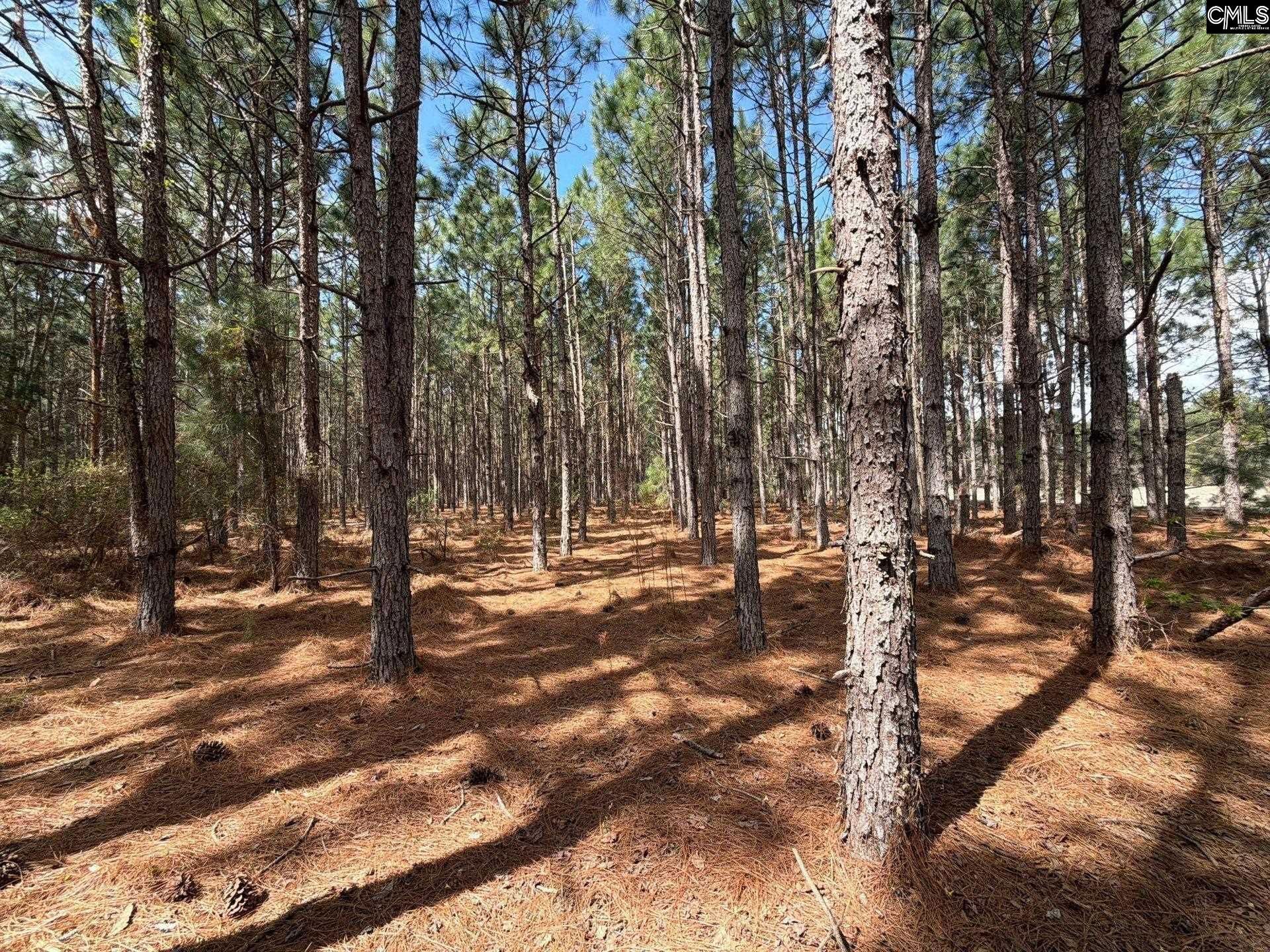 Mta 7 Heustess Road  Photo 8