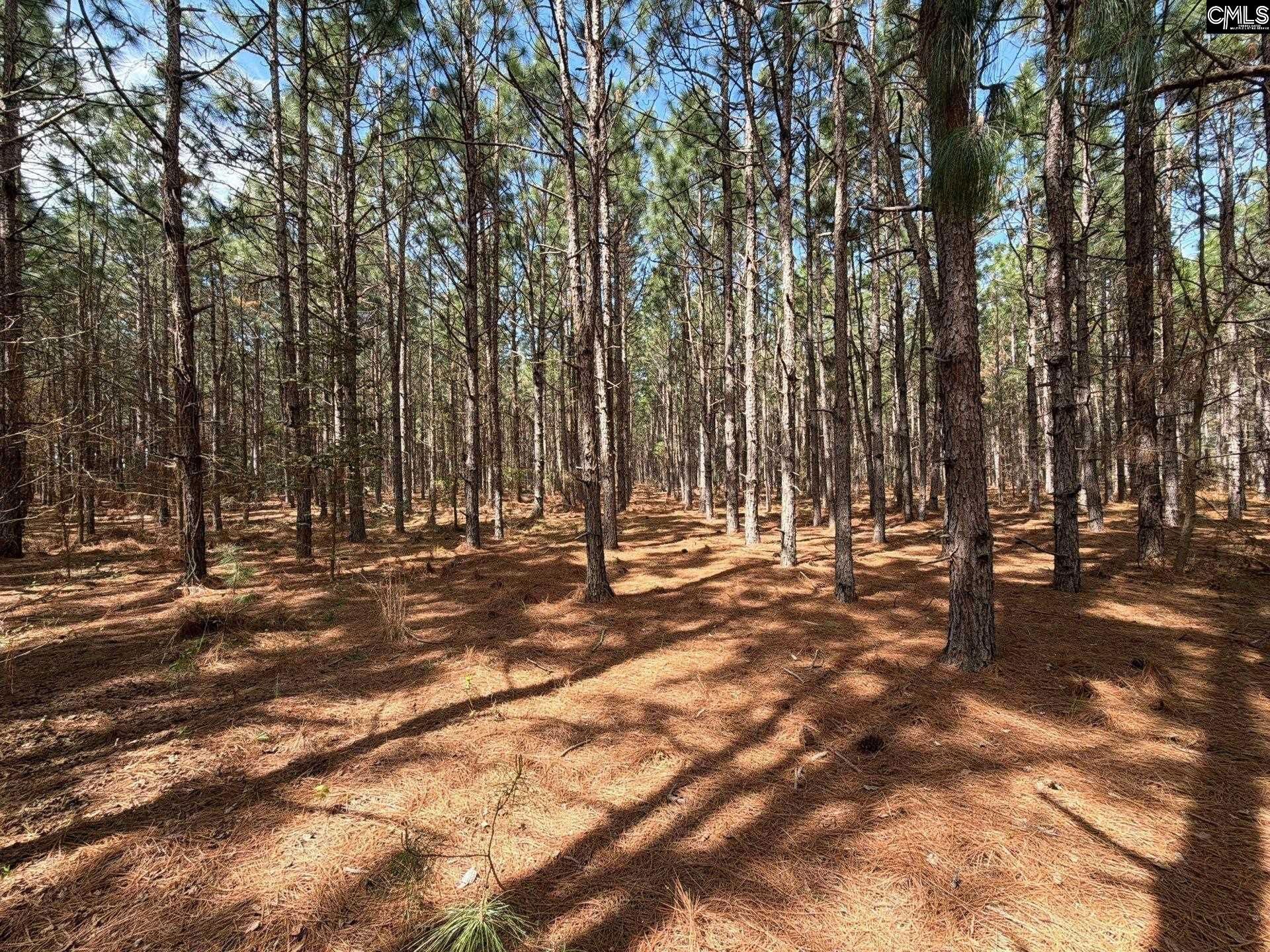 Mta 7 Heustess Road  Photo 9