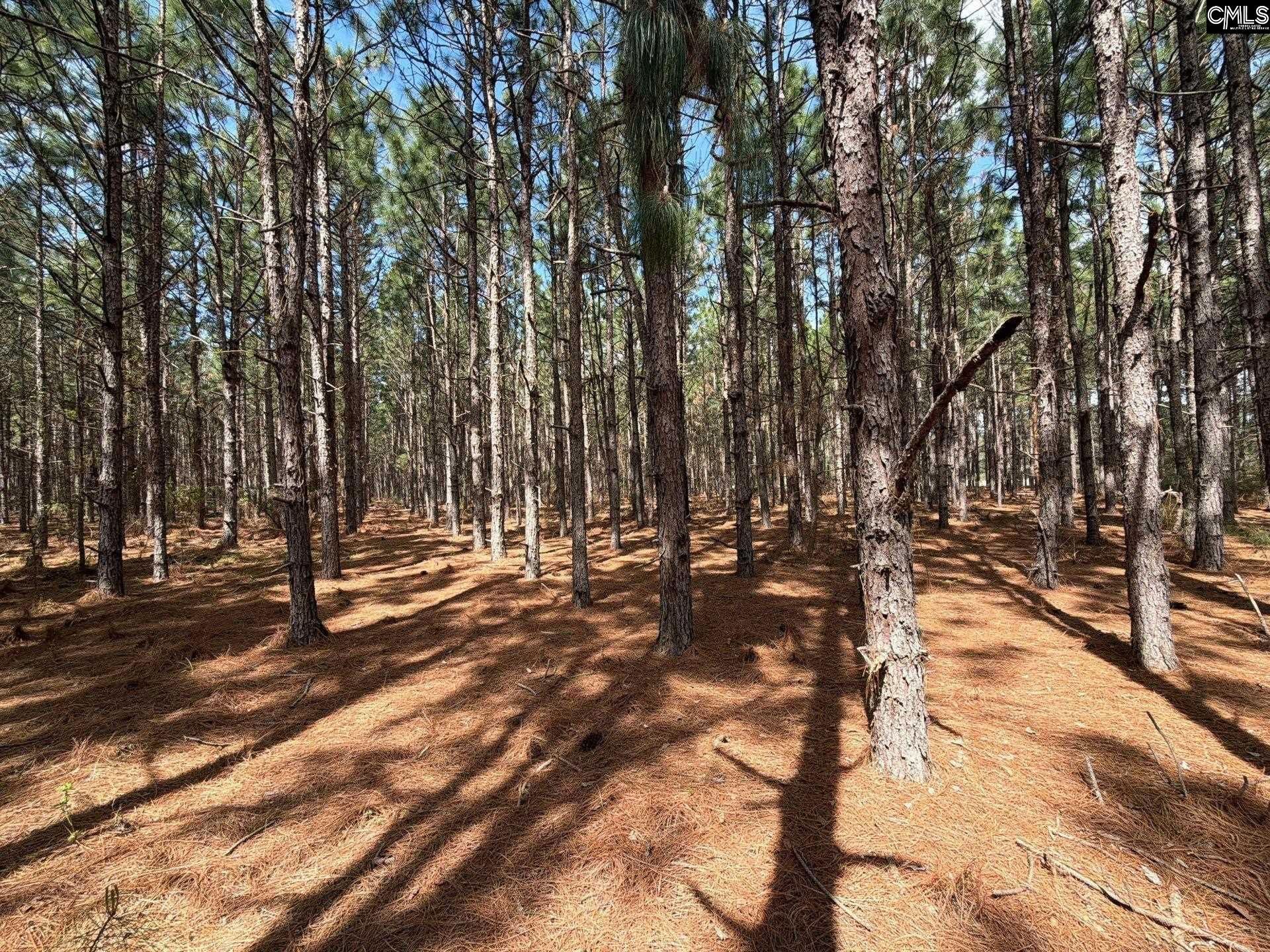 Mta 7 Heustess Road  Photo 10