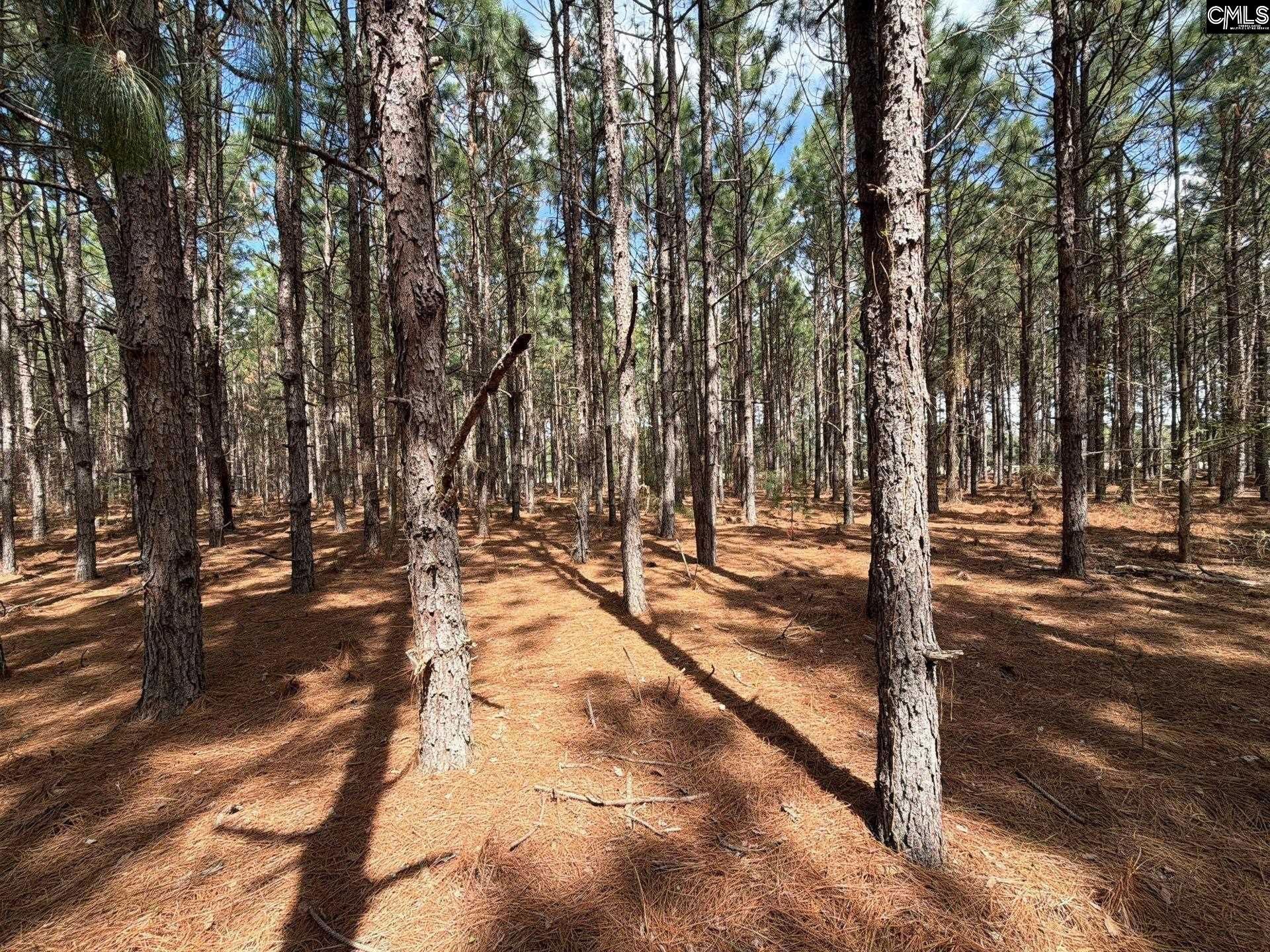 Mta 7 Heustess Road  Photo 11