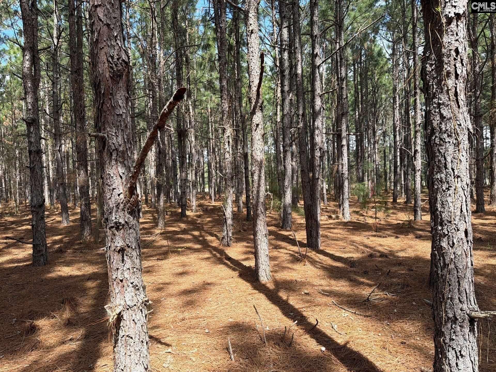 Mta 7 Heustess Road  Photo 12