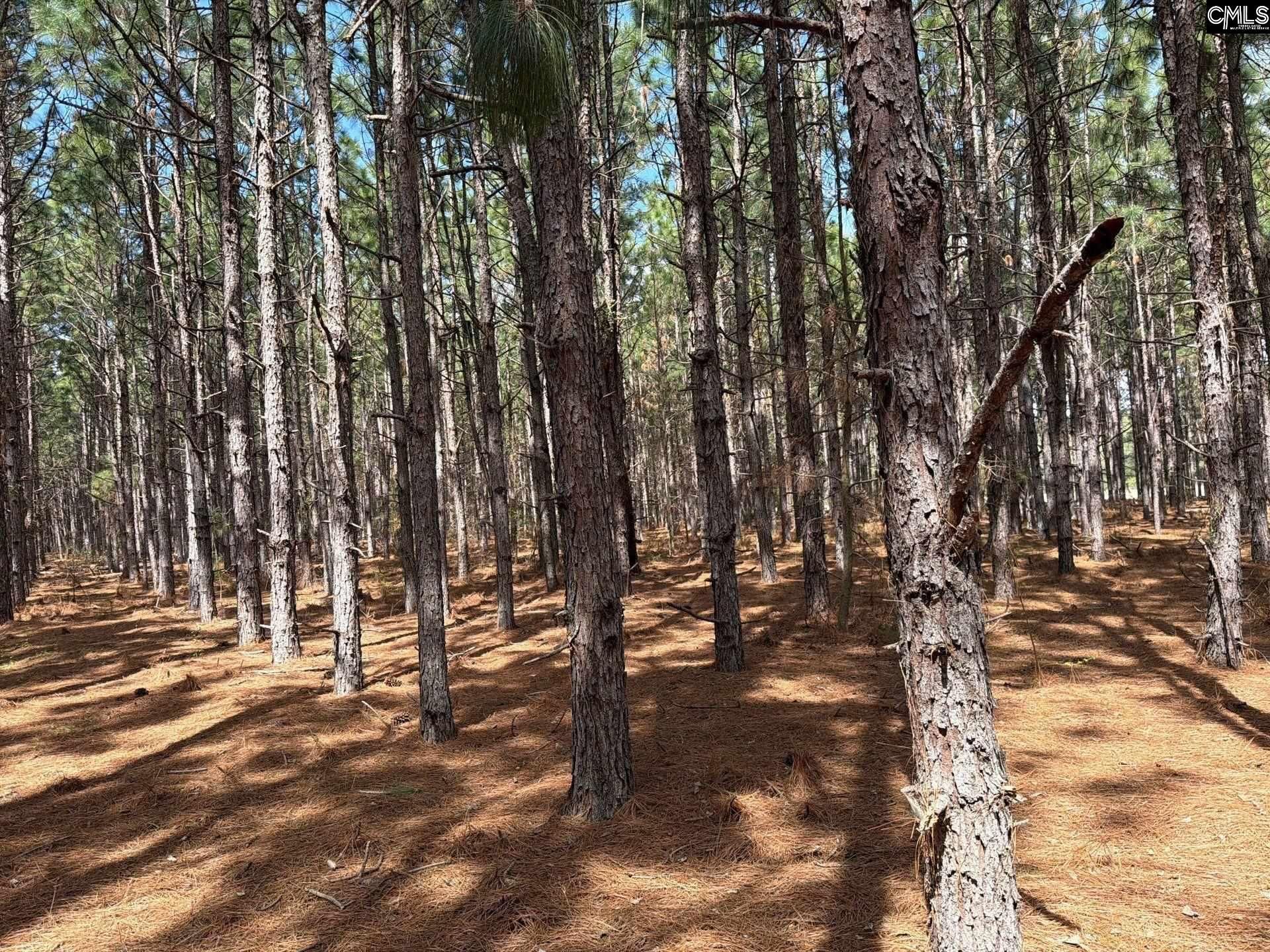 Mta 7 Heustess Road  Photo 13