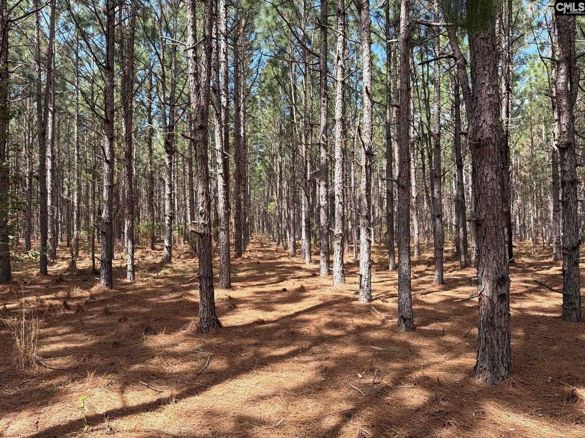 Mta 7 Heustess Road  Photo 14