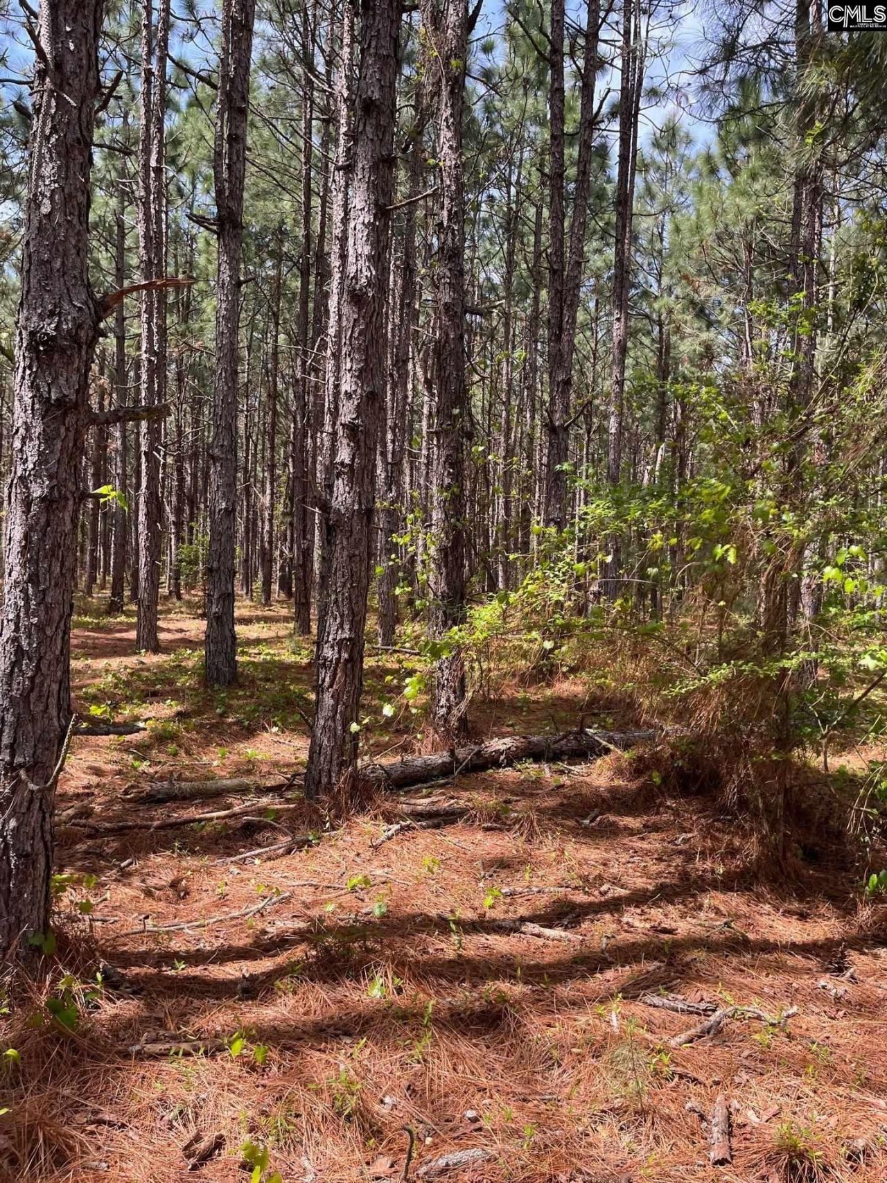 Mta 7 Heustess Road  Photo 15