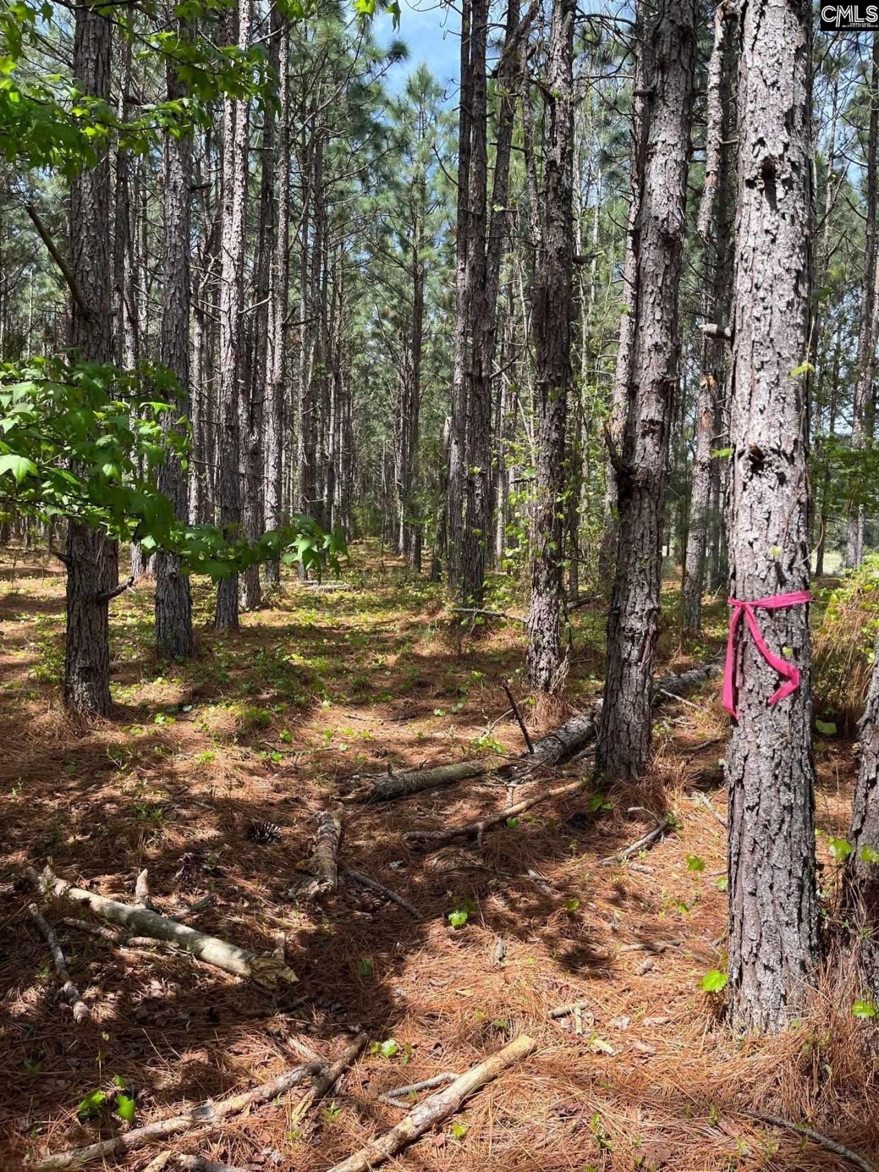 Mta 7 Heustess Road  Photo 16