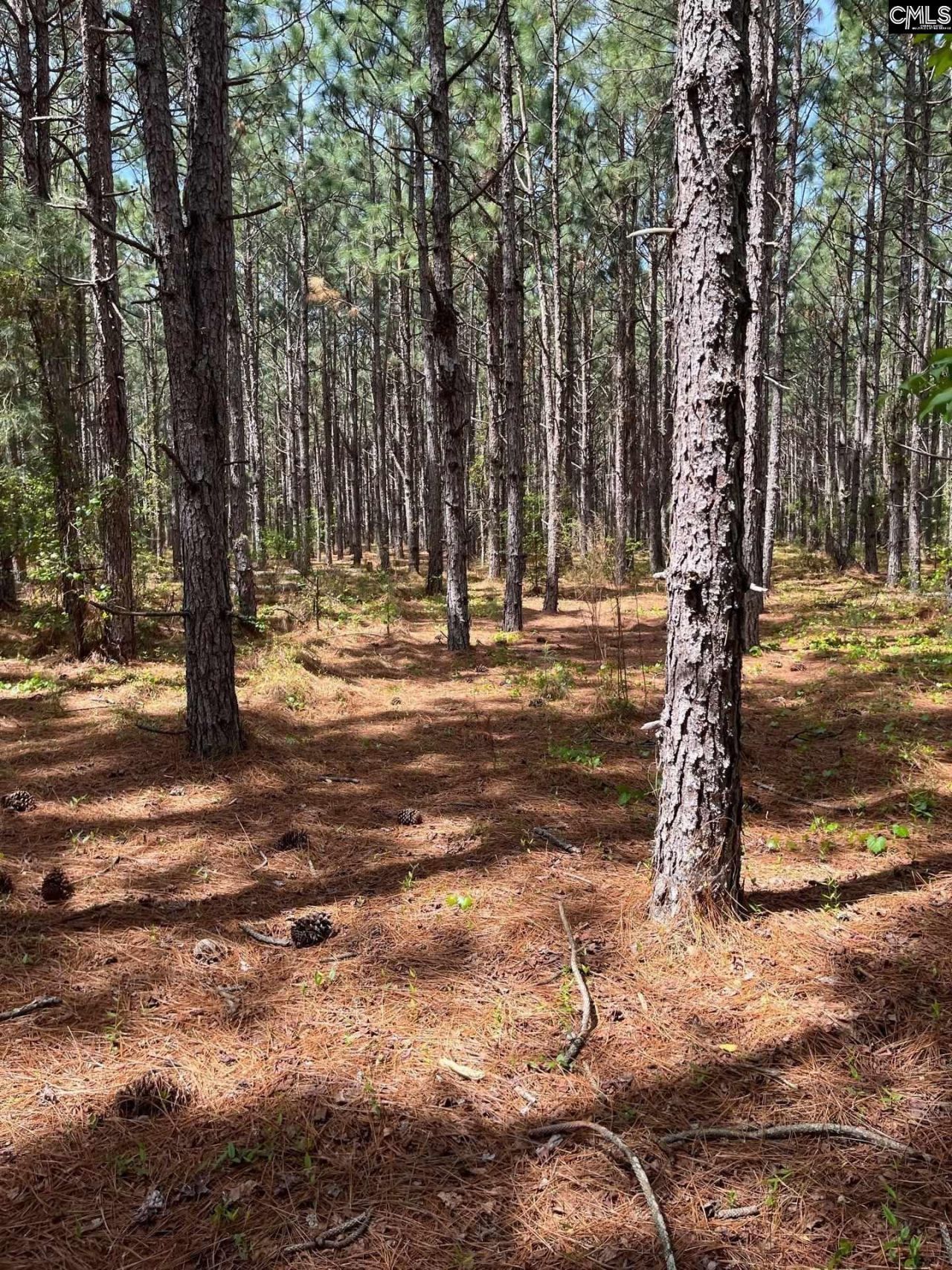 Mta 7 Heustess Road  Photo 17