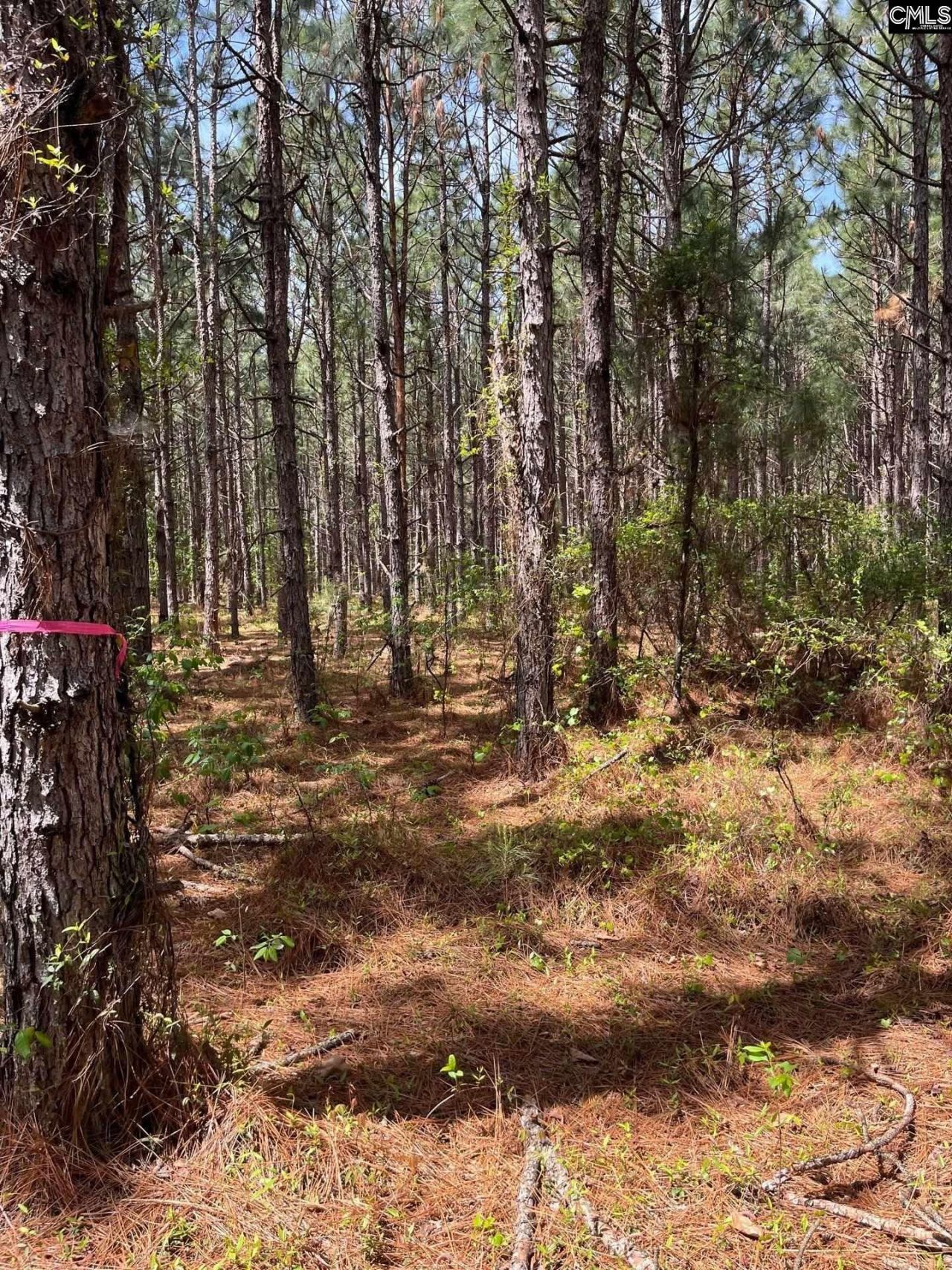 Mta 7 Heustess Road  Photo 18