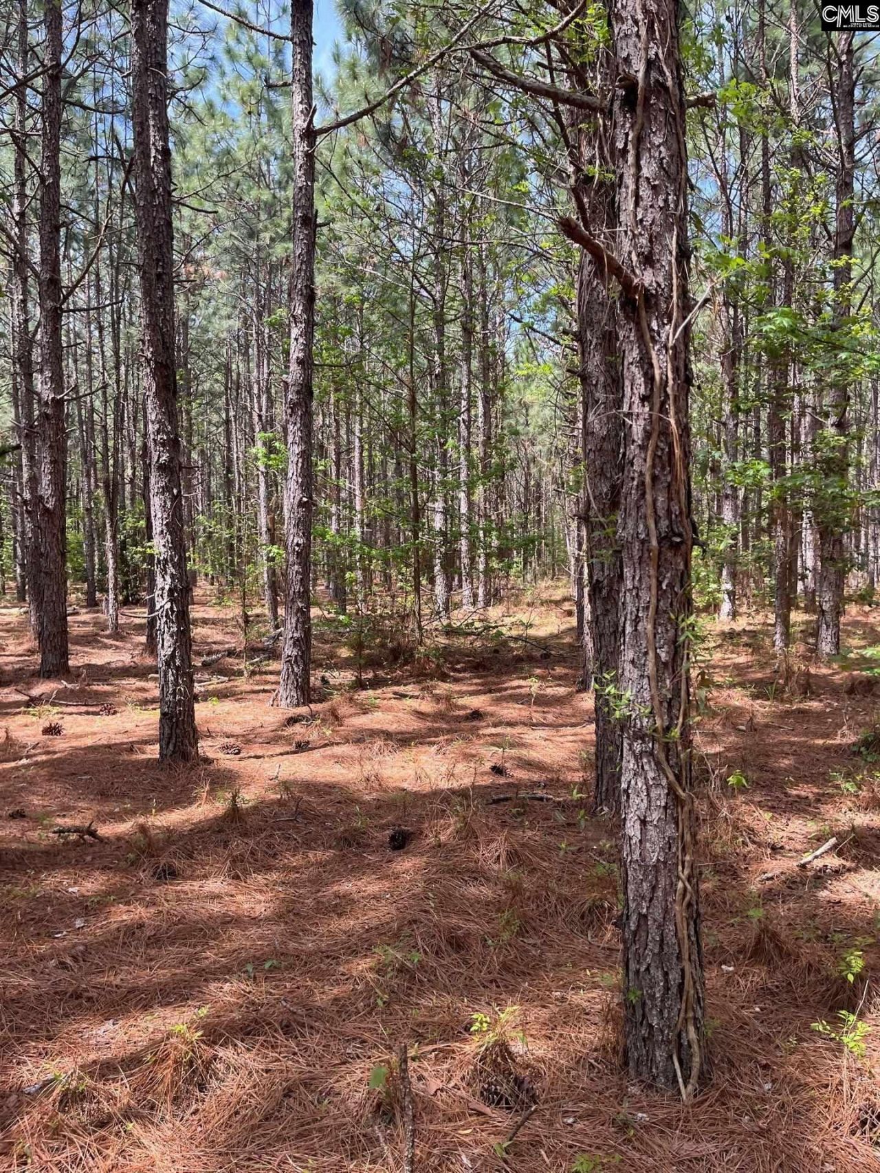 Mta 7 Heustess Road  Photo 20