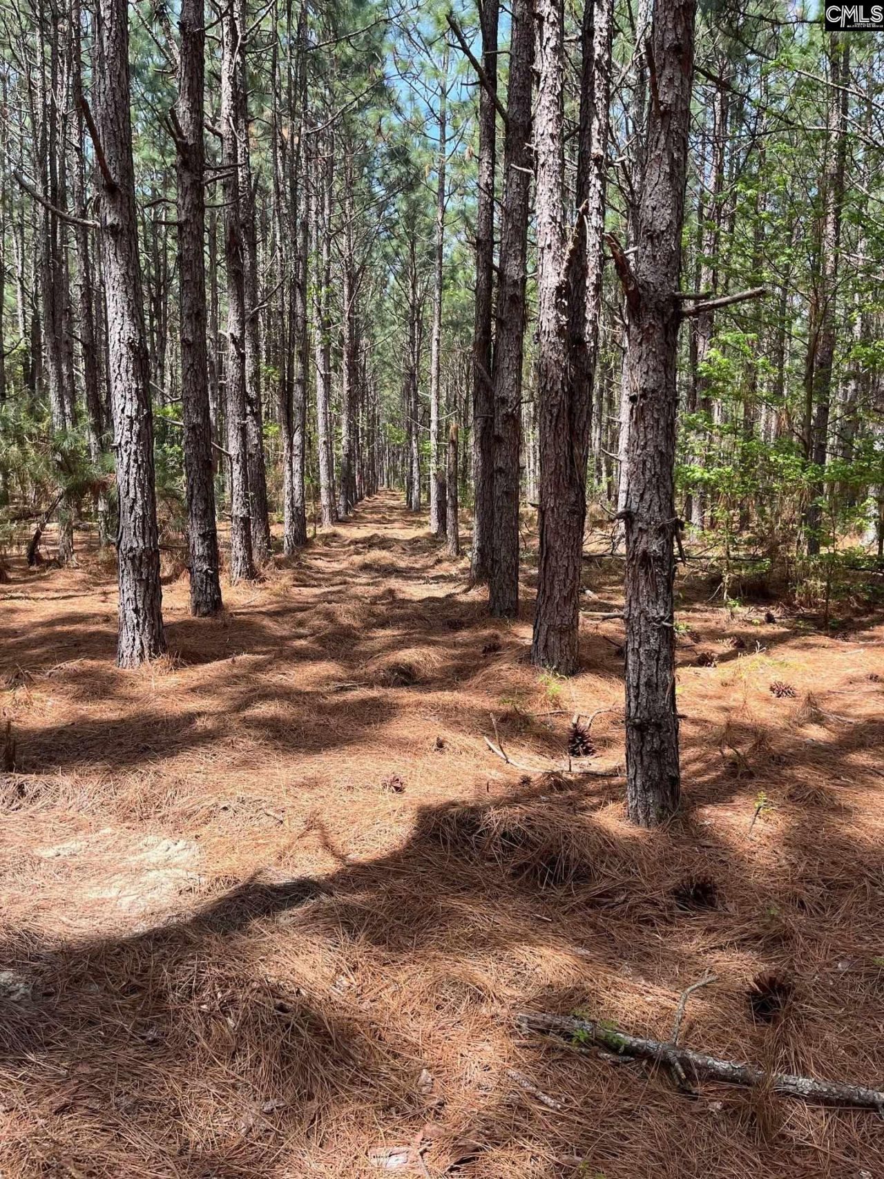 Mta 7 Heustess Road  Photo 21