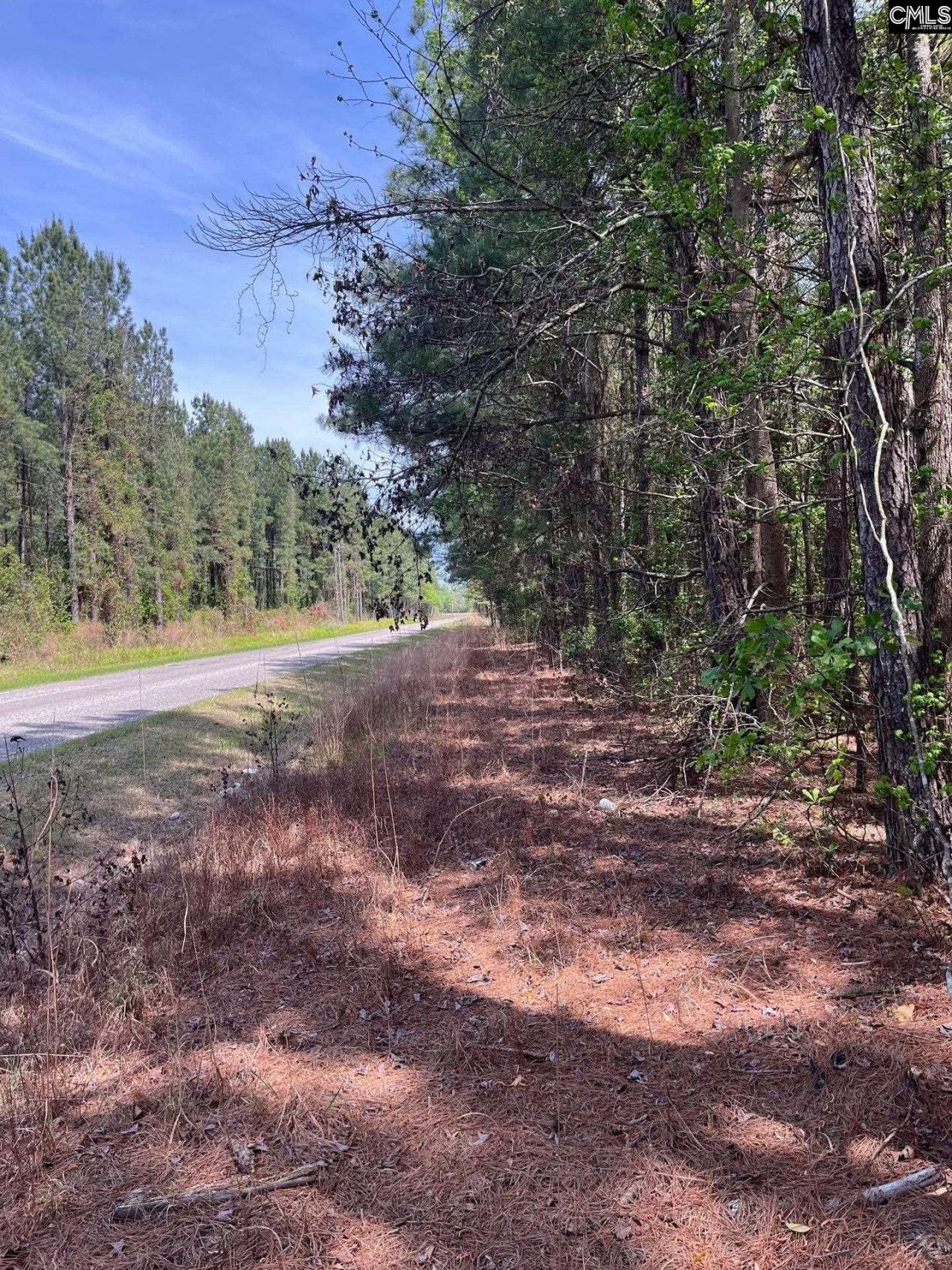 Mta 7 Heustess Road  Photo 22