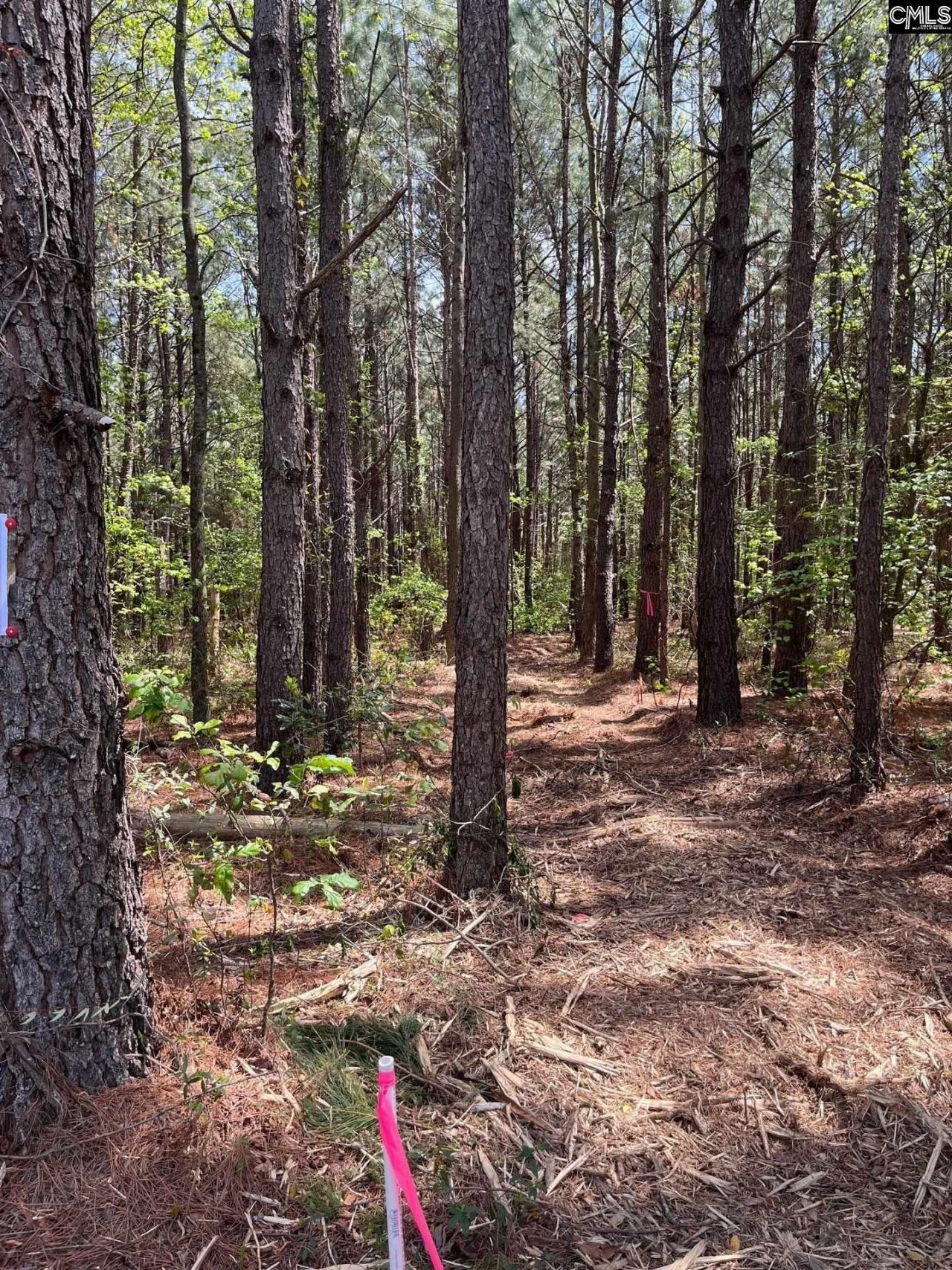 Mta 7 Heustess Road  Photo 23