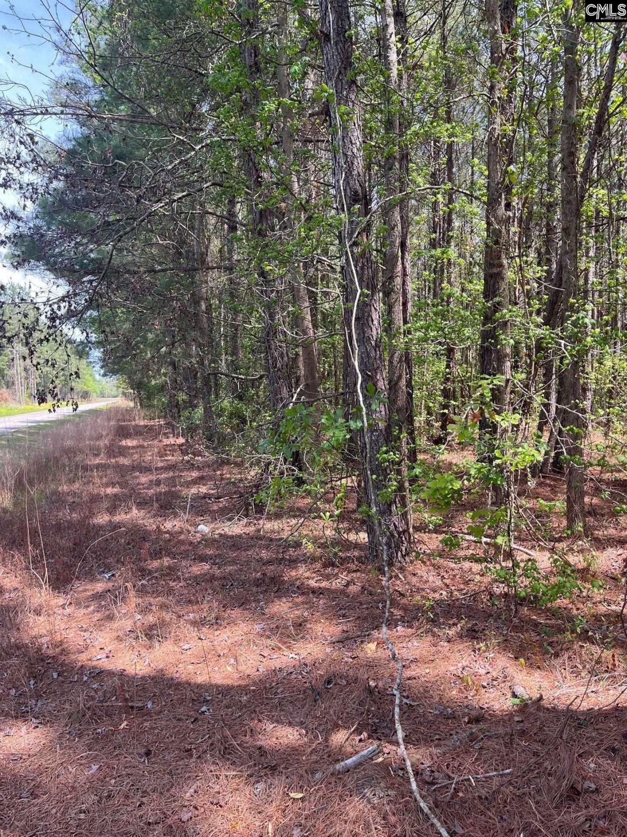 Mta 7 Heustess Road  Photo 24