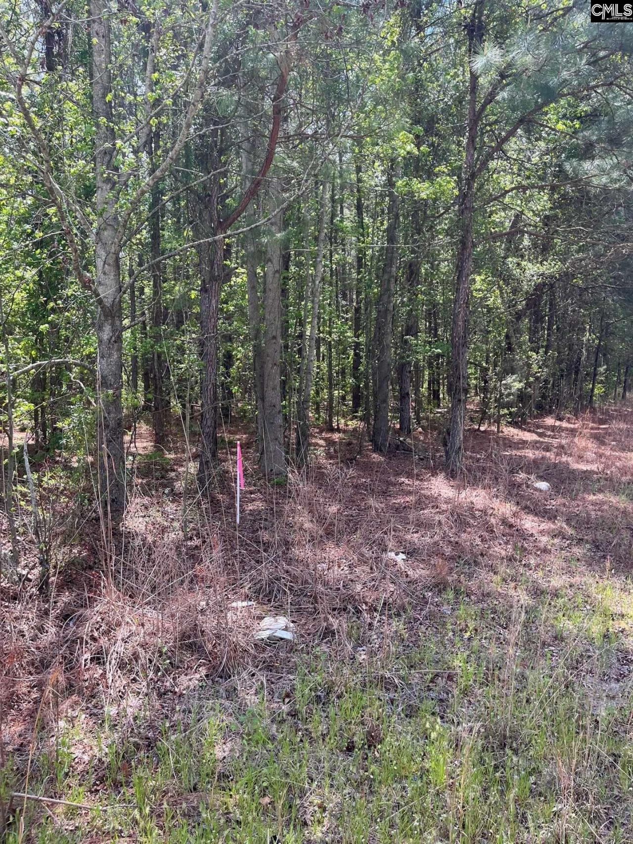 Mta 7 Heustess Road  Photo 25