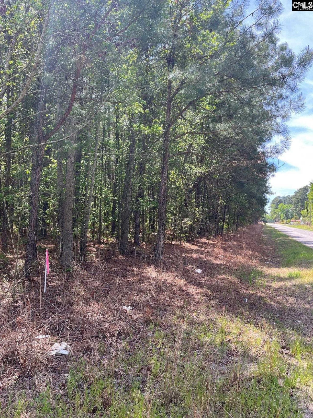 Mta 7 Heustess Road  Photo 26